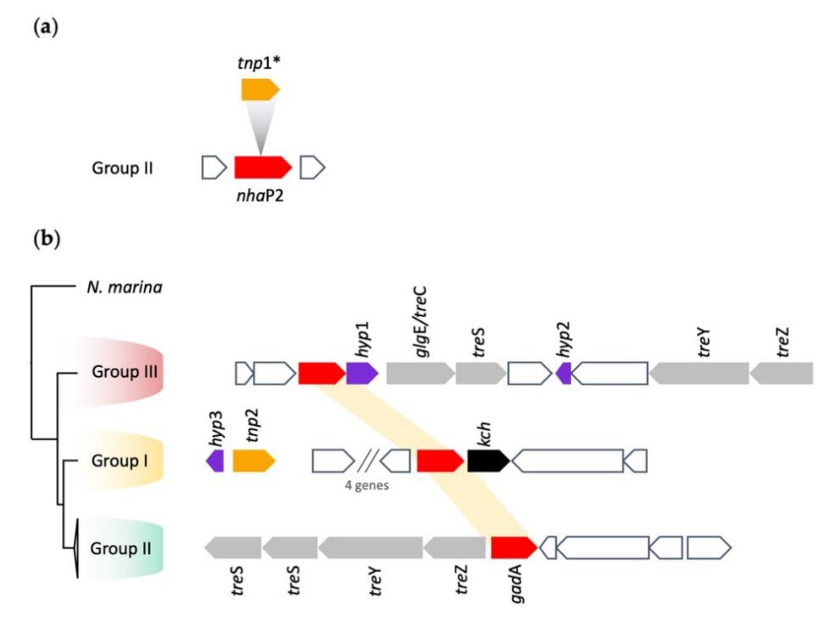 Genes 11 00389 g007 Genes 11 00389 g007