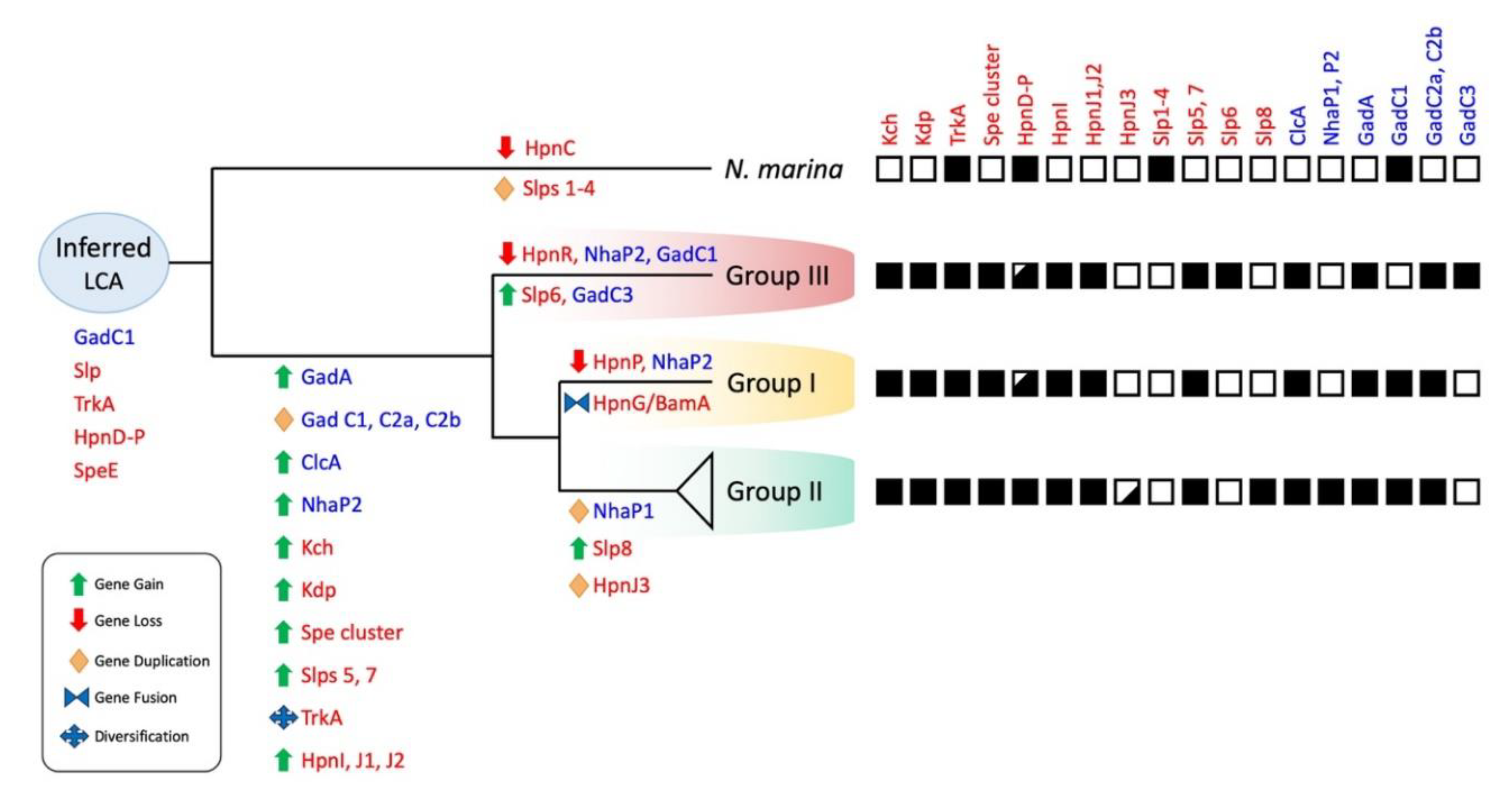 Genes 11 00389 g009 Genes 11 00389 g009