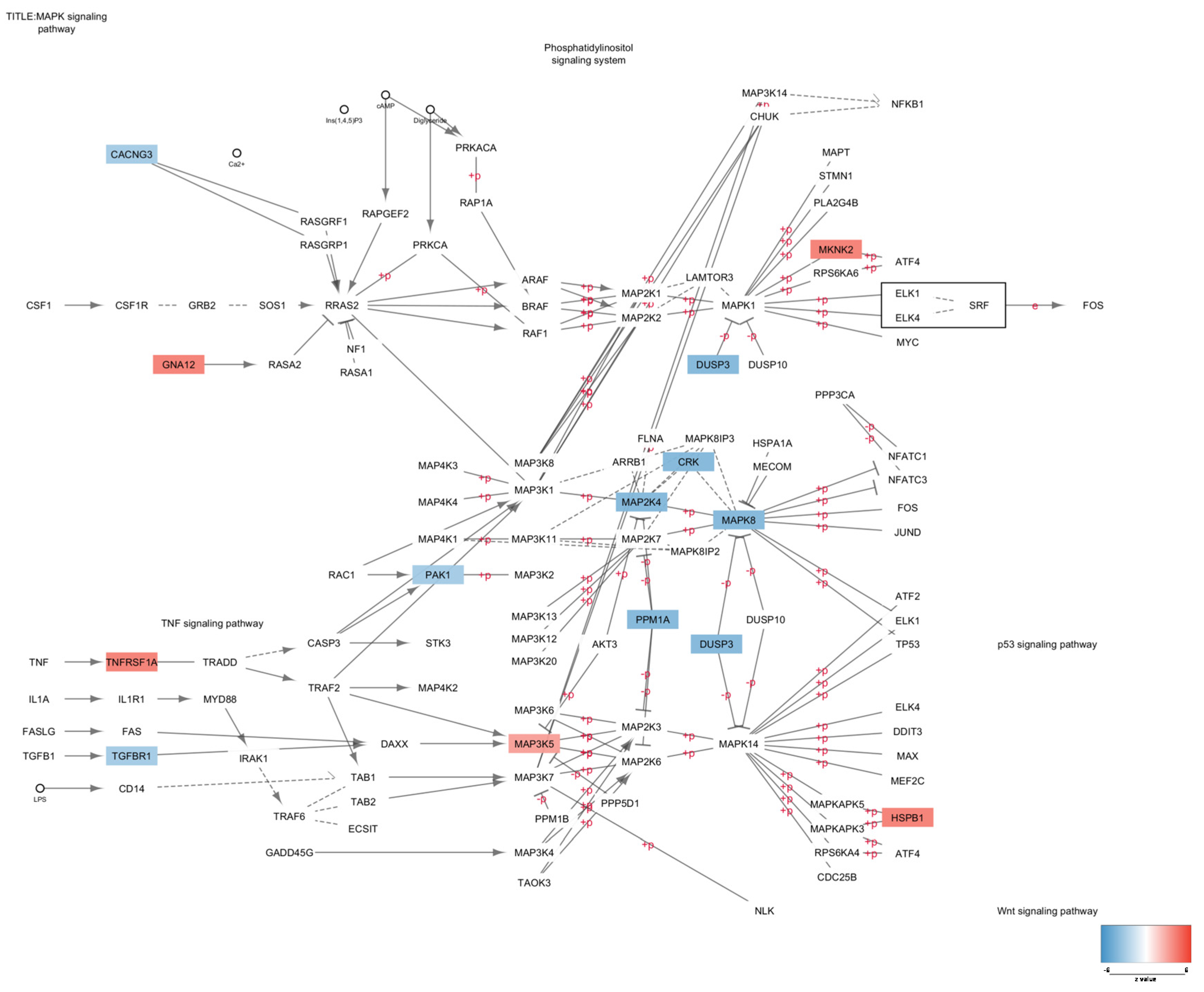 Genes 11 00390 g002 Genes 11 00390 g002