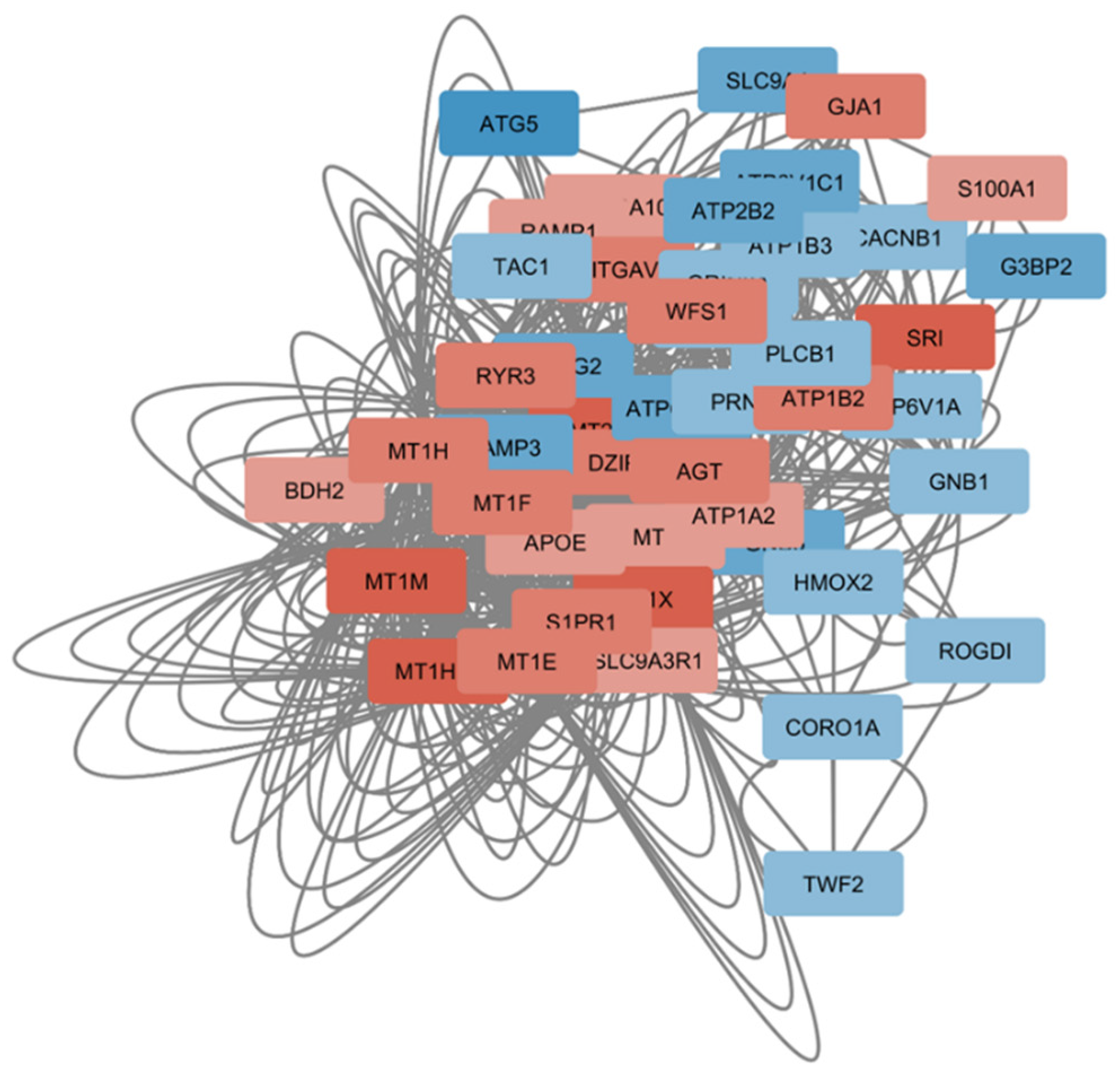 Genes 11 00390 g003 Genes 11 00390 g003