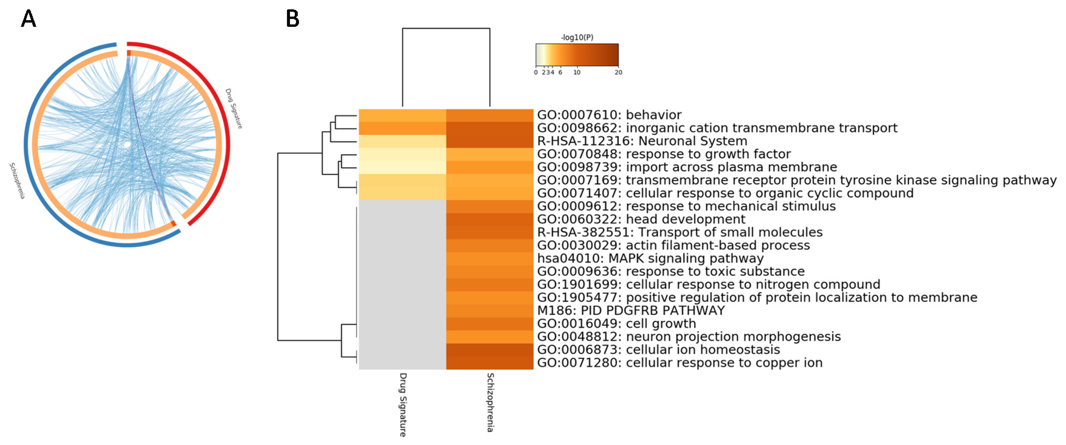 Genes 11 00390 g004 Genes 11 00390 g004