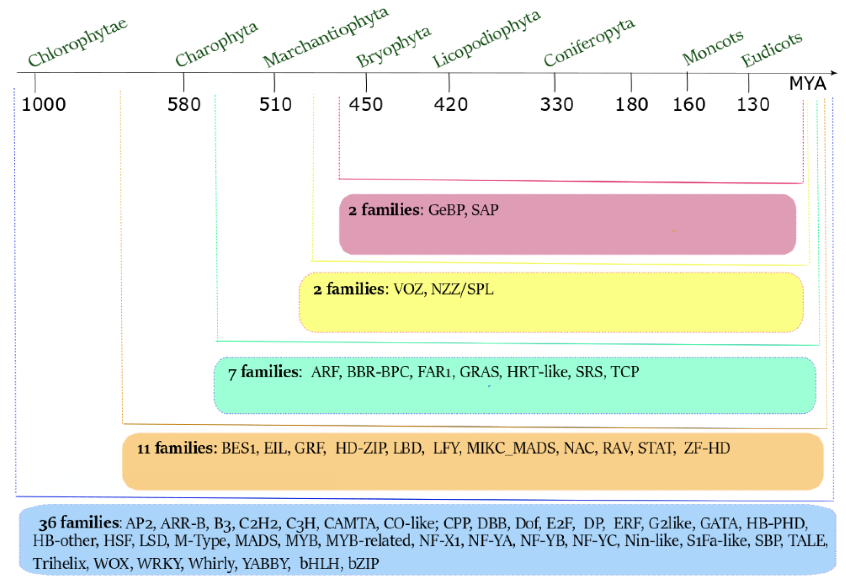 Genes 11 00395 g002 Genes 11 00395 g002