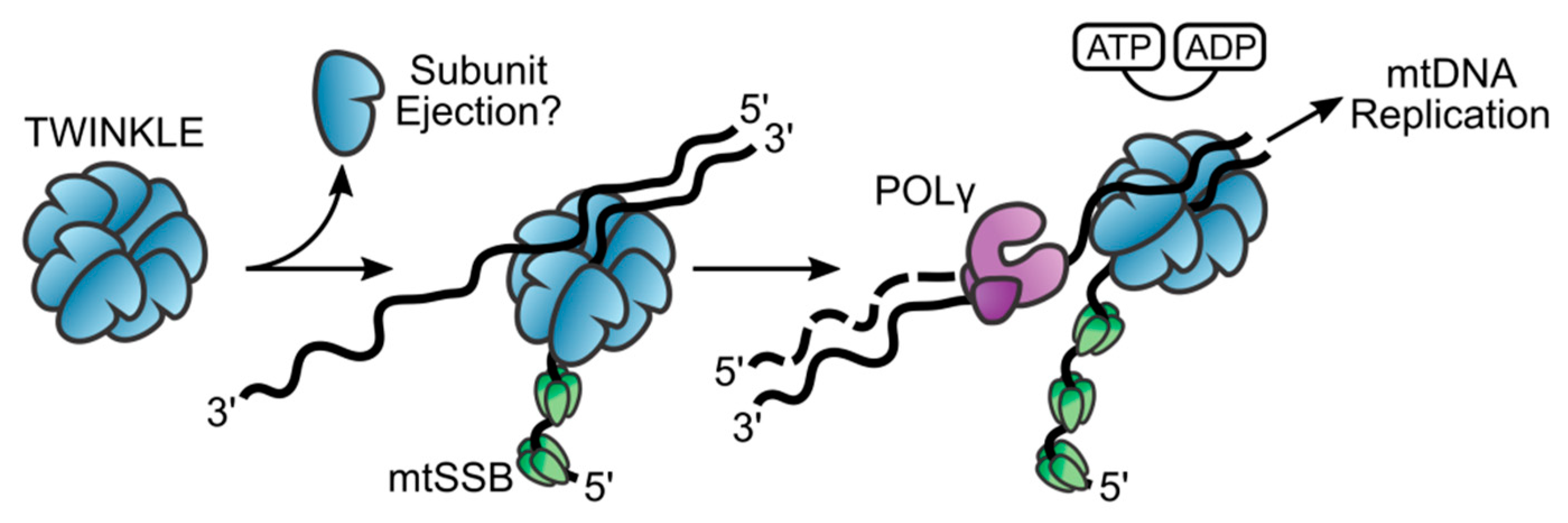 Genes 11 00408 g003 Genes 11 00408 g003