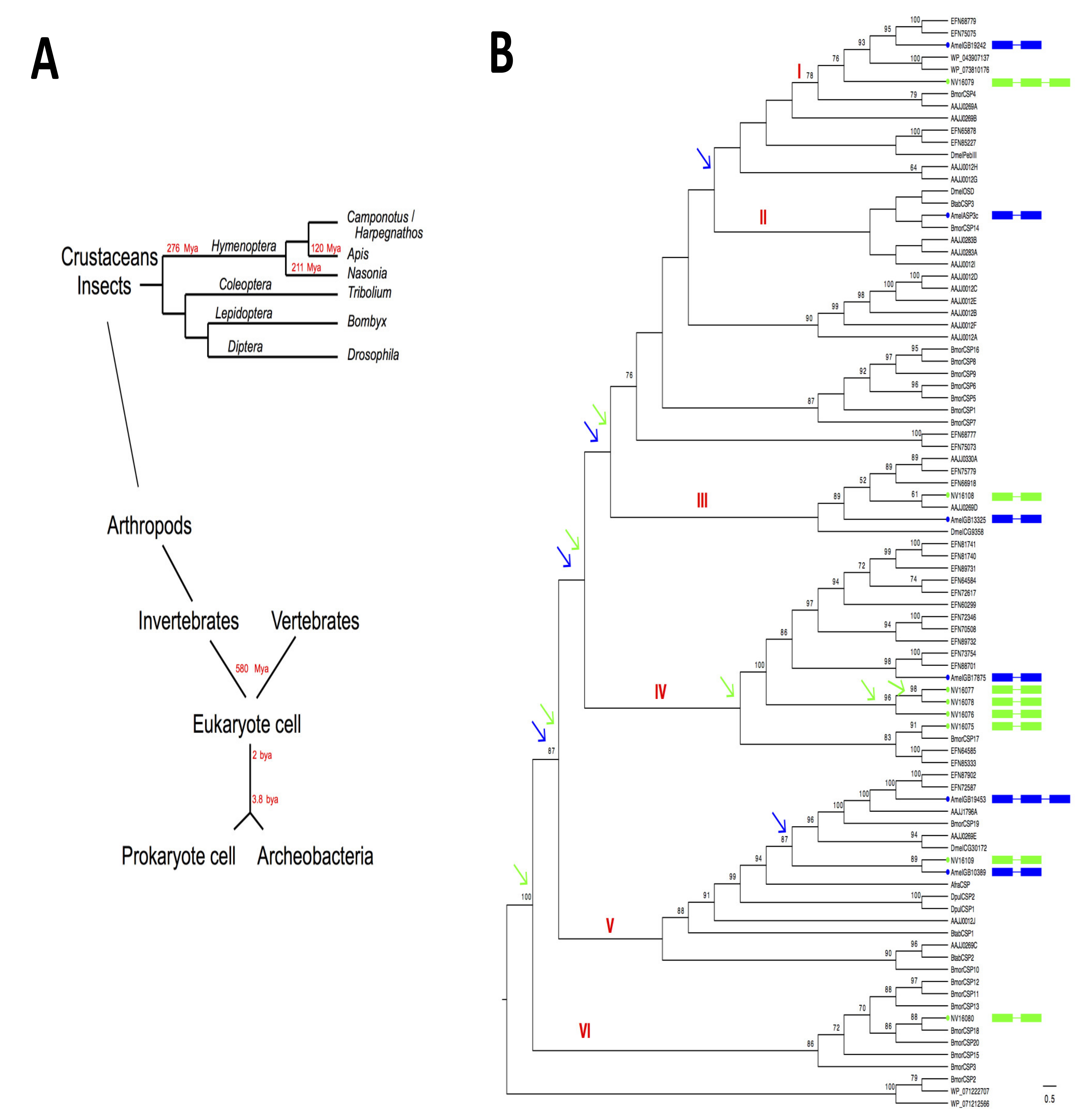Genes 11 00413 g003 Genes 11 00413 g003