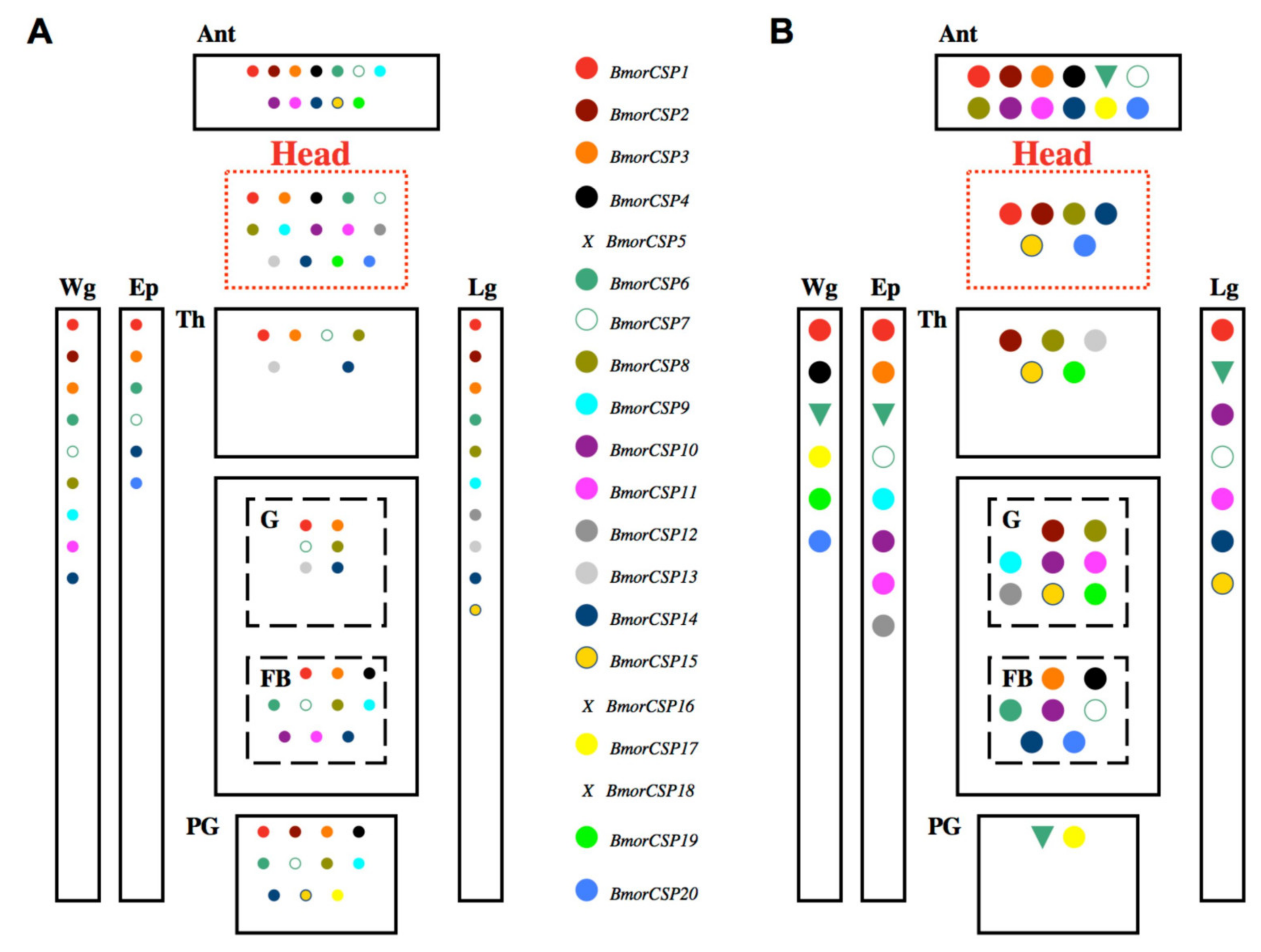 Genes 11 00413 g005 Genes 11 00413 g005