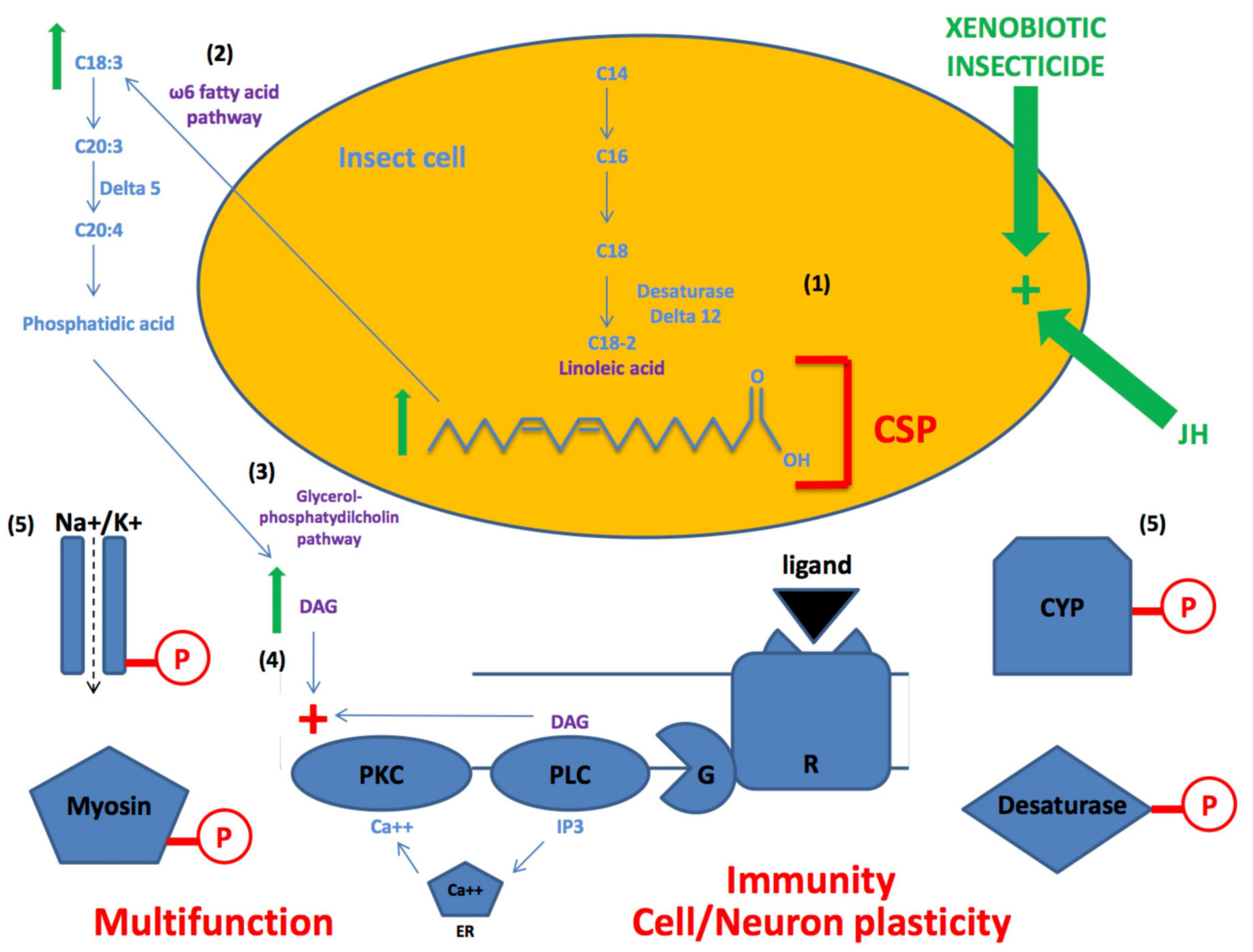 Genes 11 00413 g006 Genes 11 00413 g006