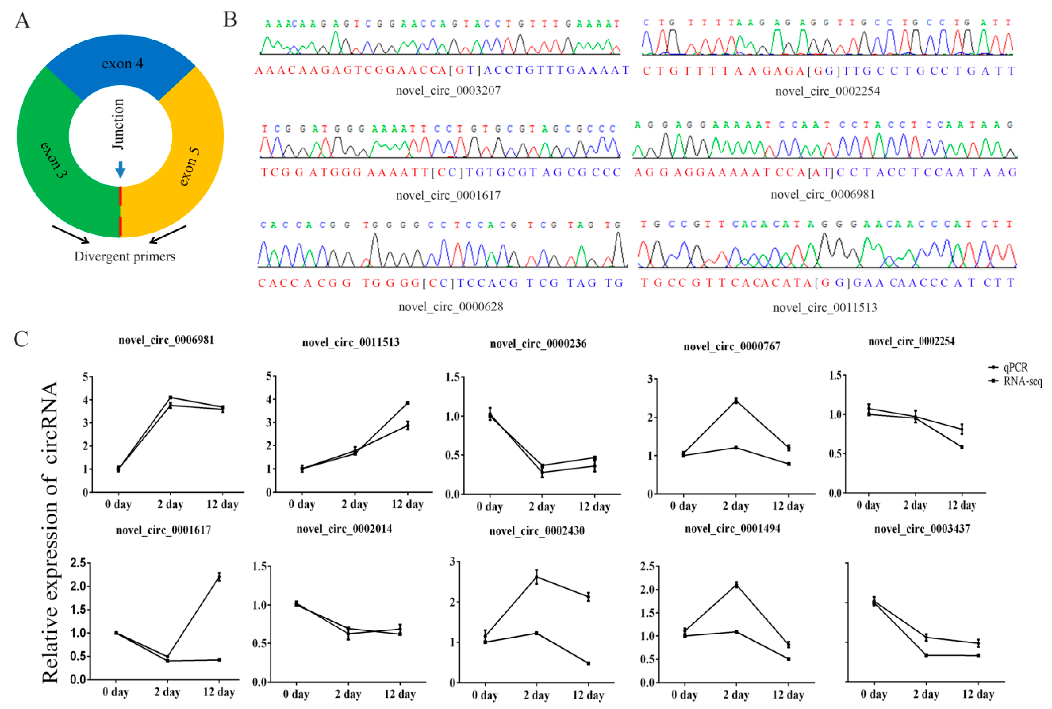 Genes 11 00414 g005