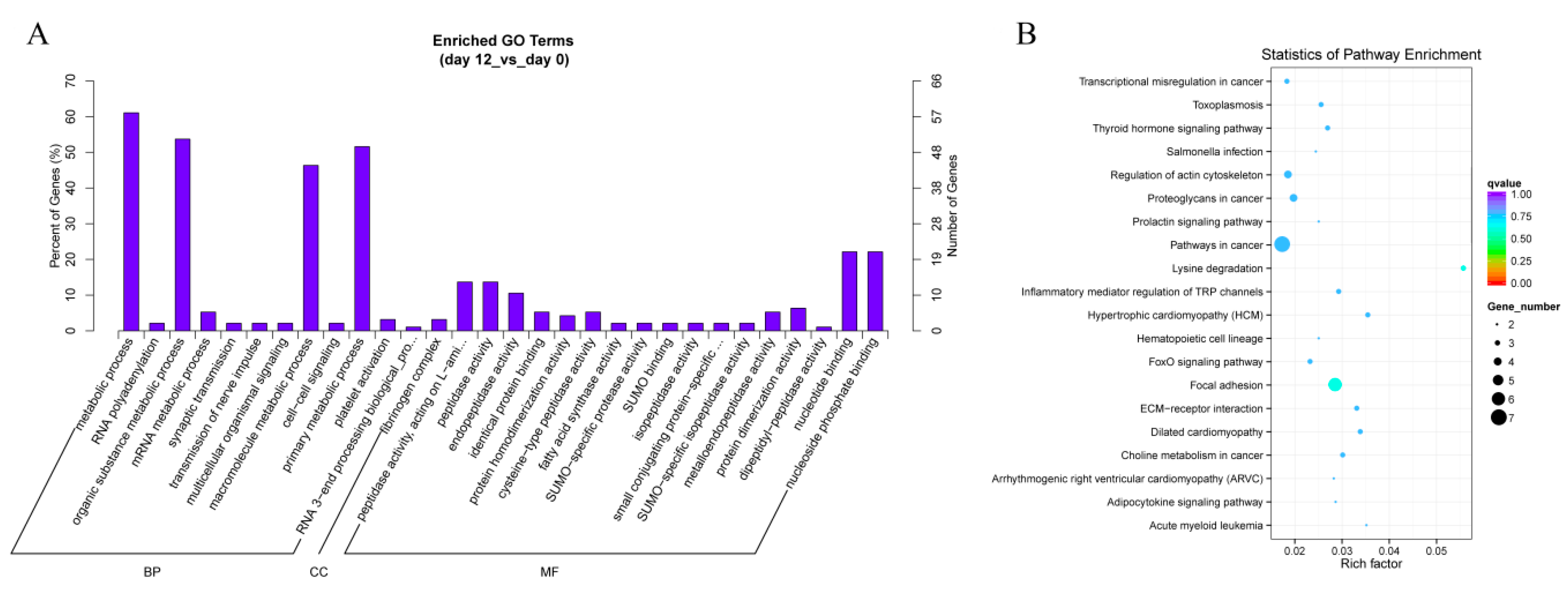 Genes 11 00414 g006