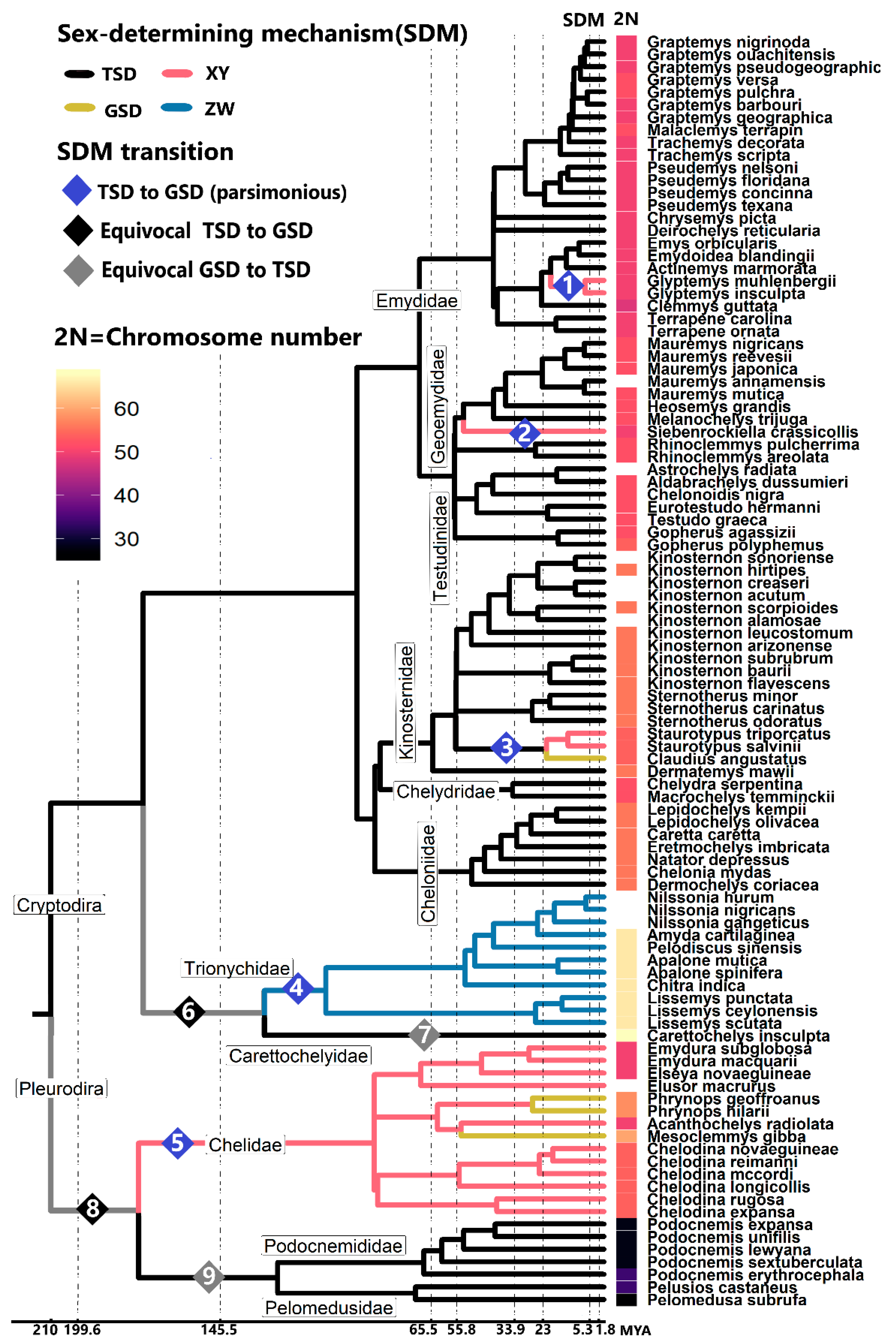 Genes 11 00416 g001 Genes 11 00416 g001