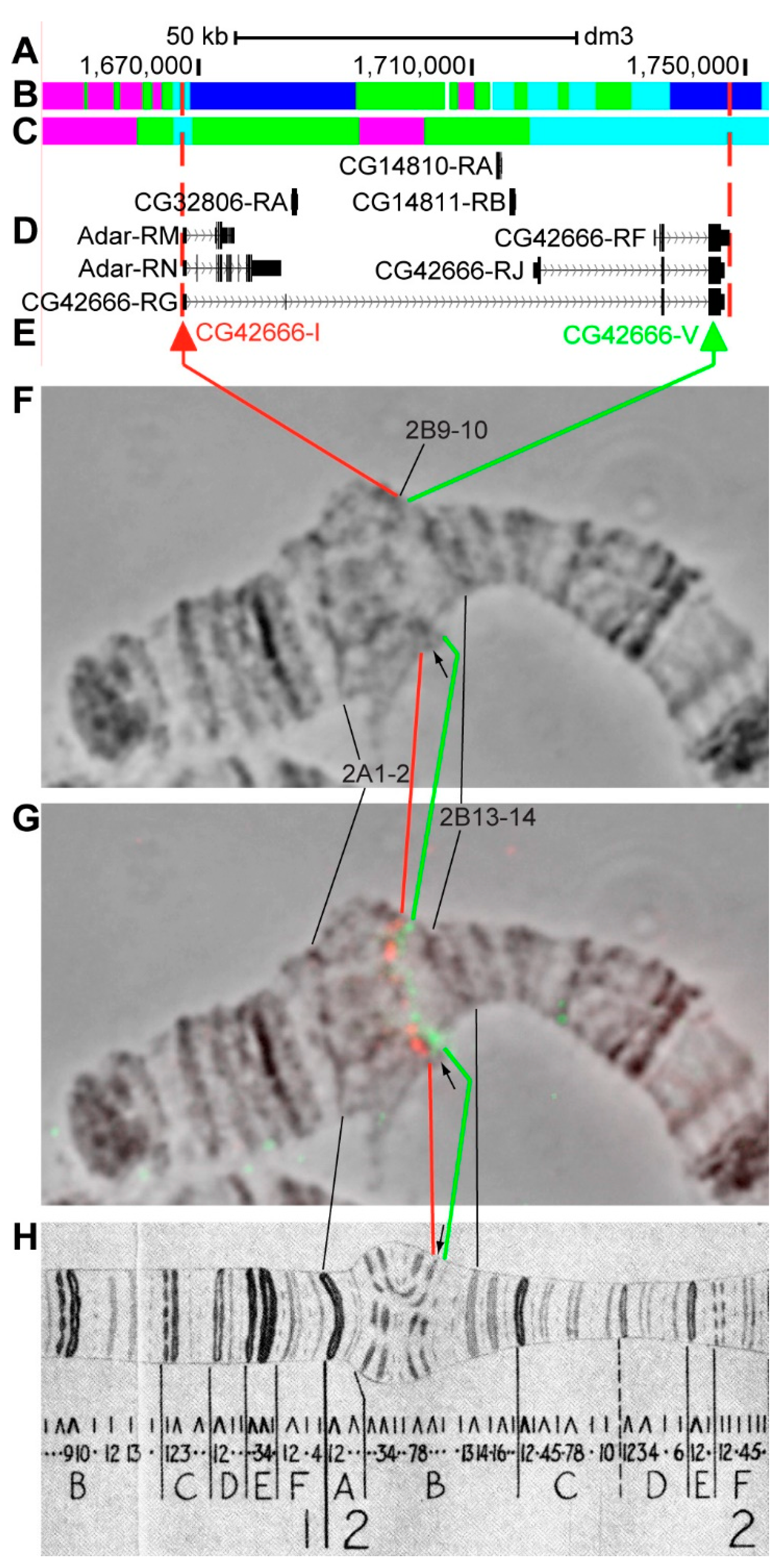 Genes 11 00417 g009 Genes 11 00417 g009