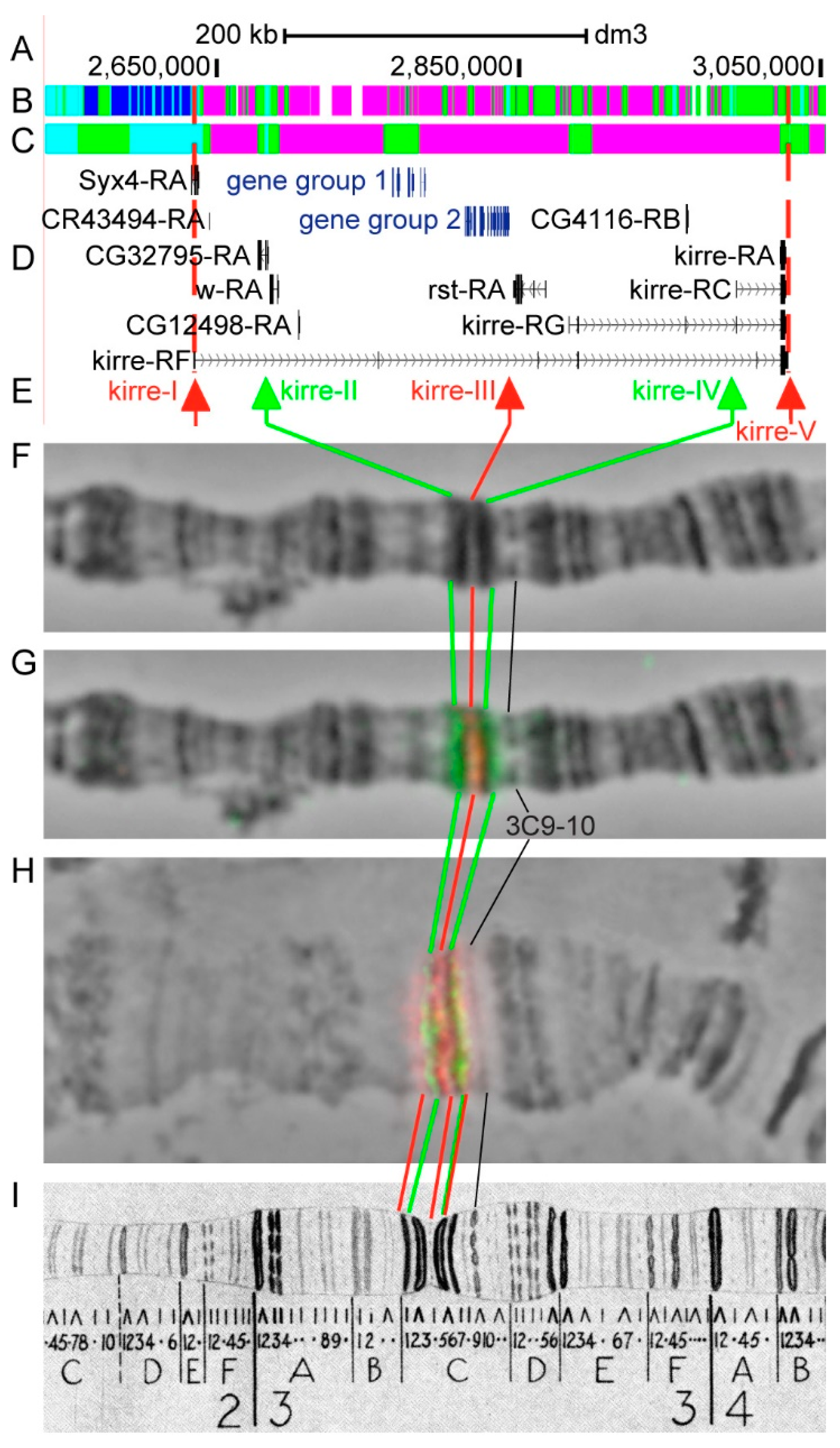 Genes 11 00417 g012 Genes 11 00417 g012