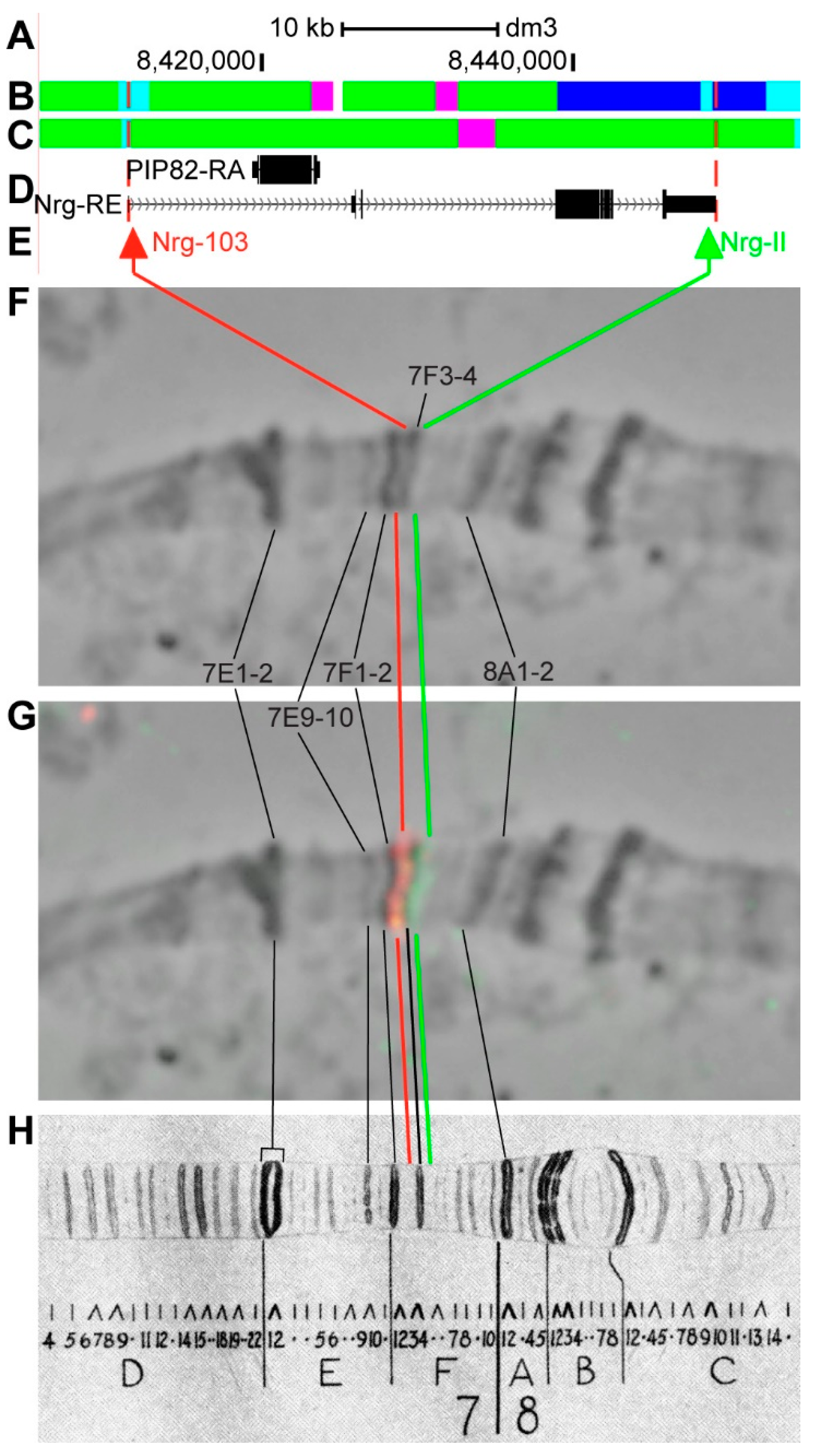 Genes 11 00417 g014 Genes 11 00417 g014