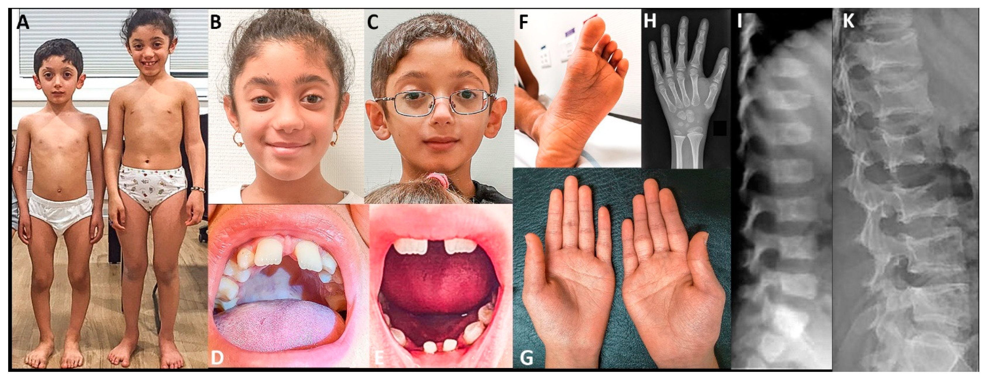 Genes 11 00420 g001 Genes 11 00420 g001
