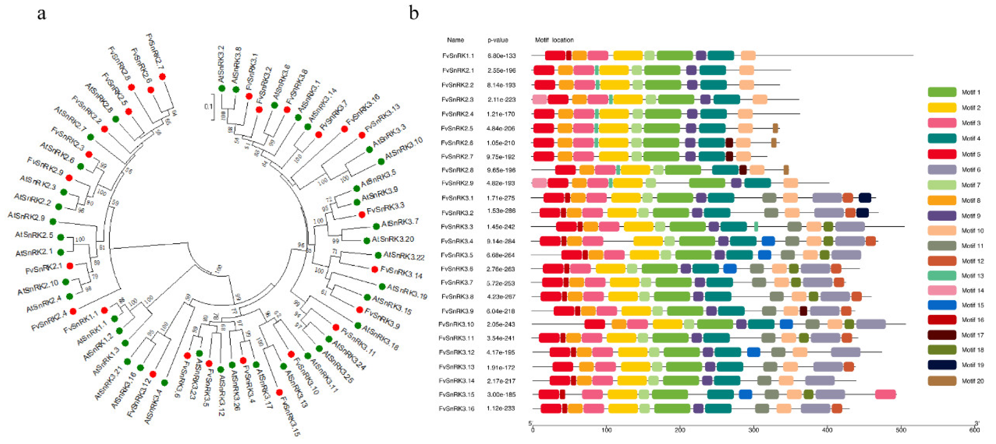 Genes 11 00427 g002