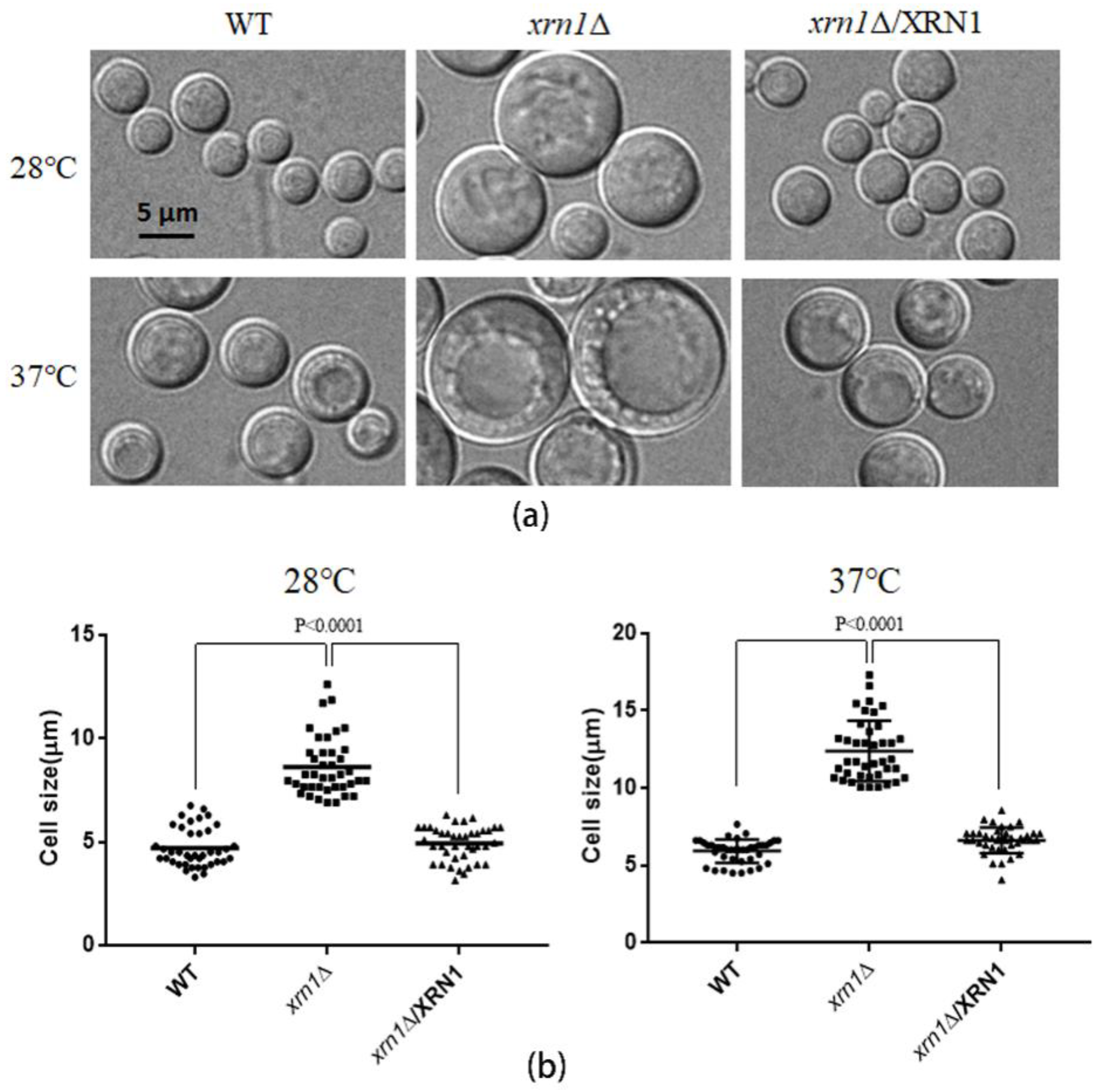 Genes 11 00430 g002 Genes 11 00430 g002