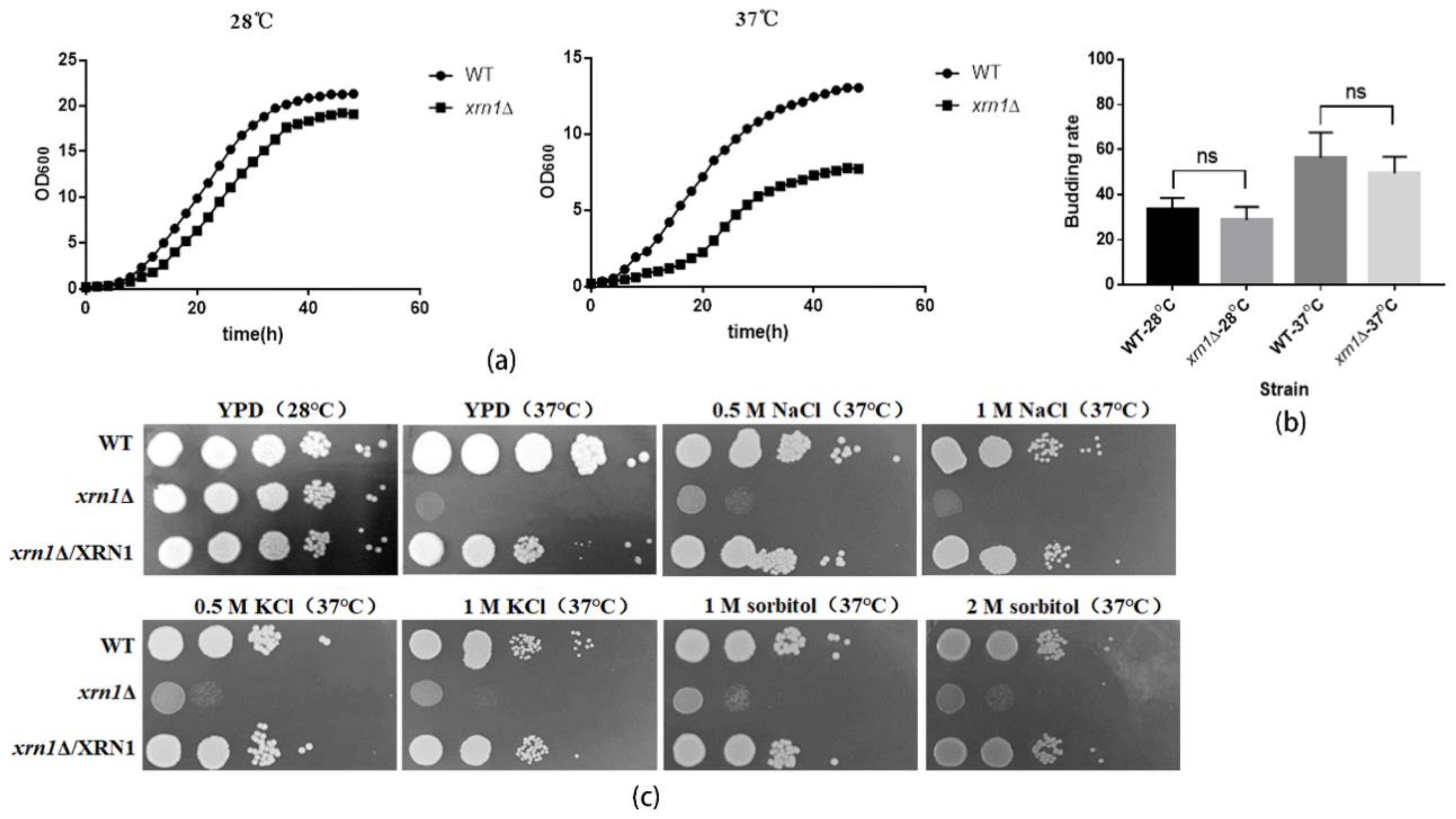 Genes 11 00430 g003 Genes 11 00430 g003