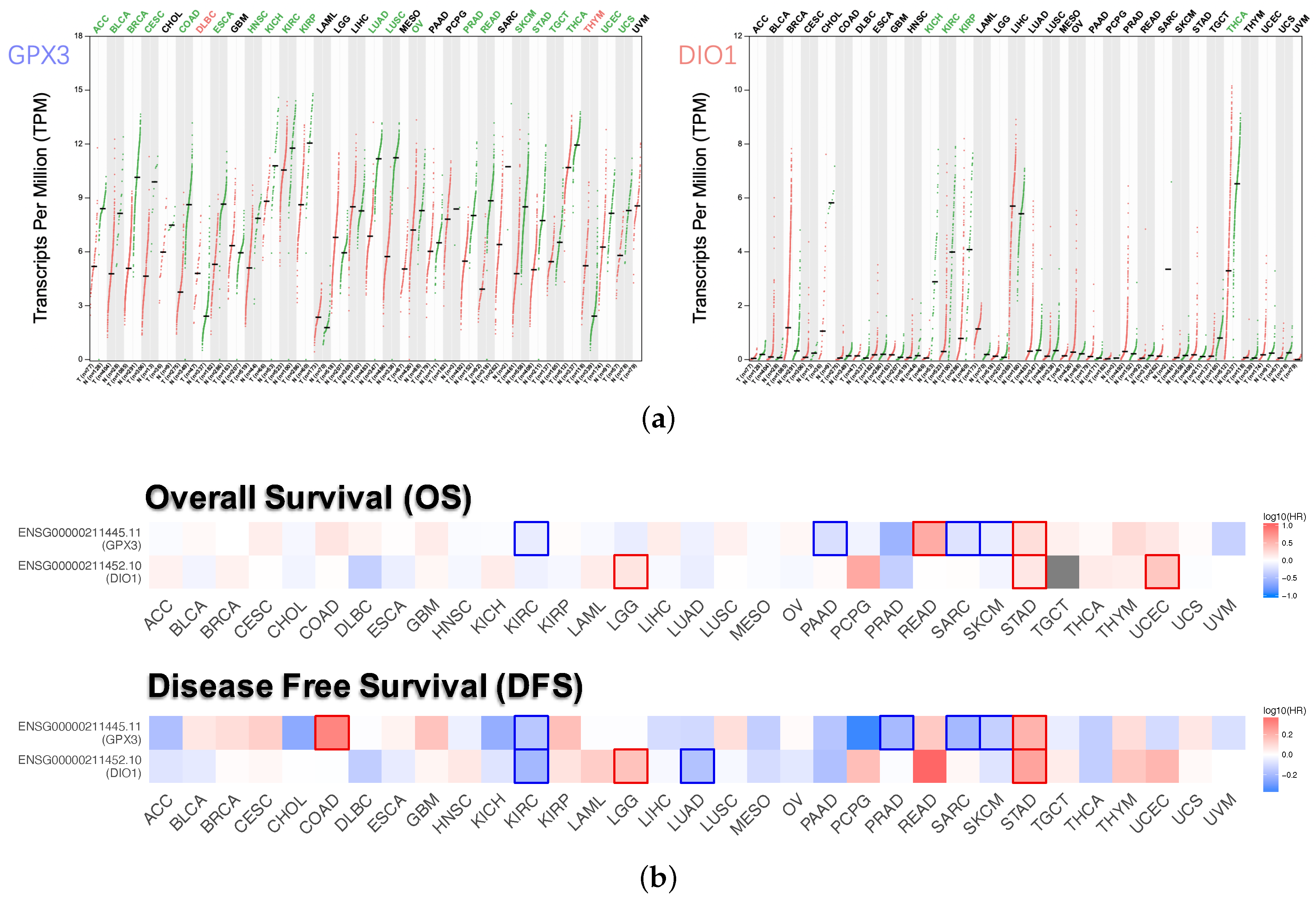 Genes 11 00440 g003 Genes 11 00440 g003