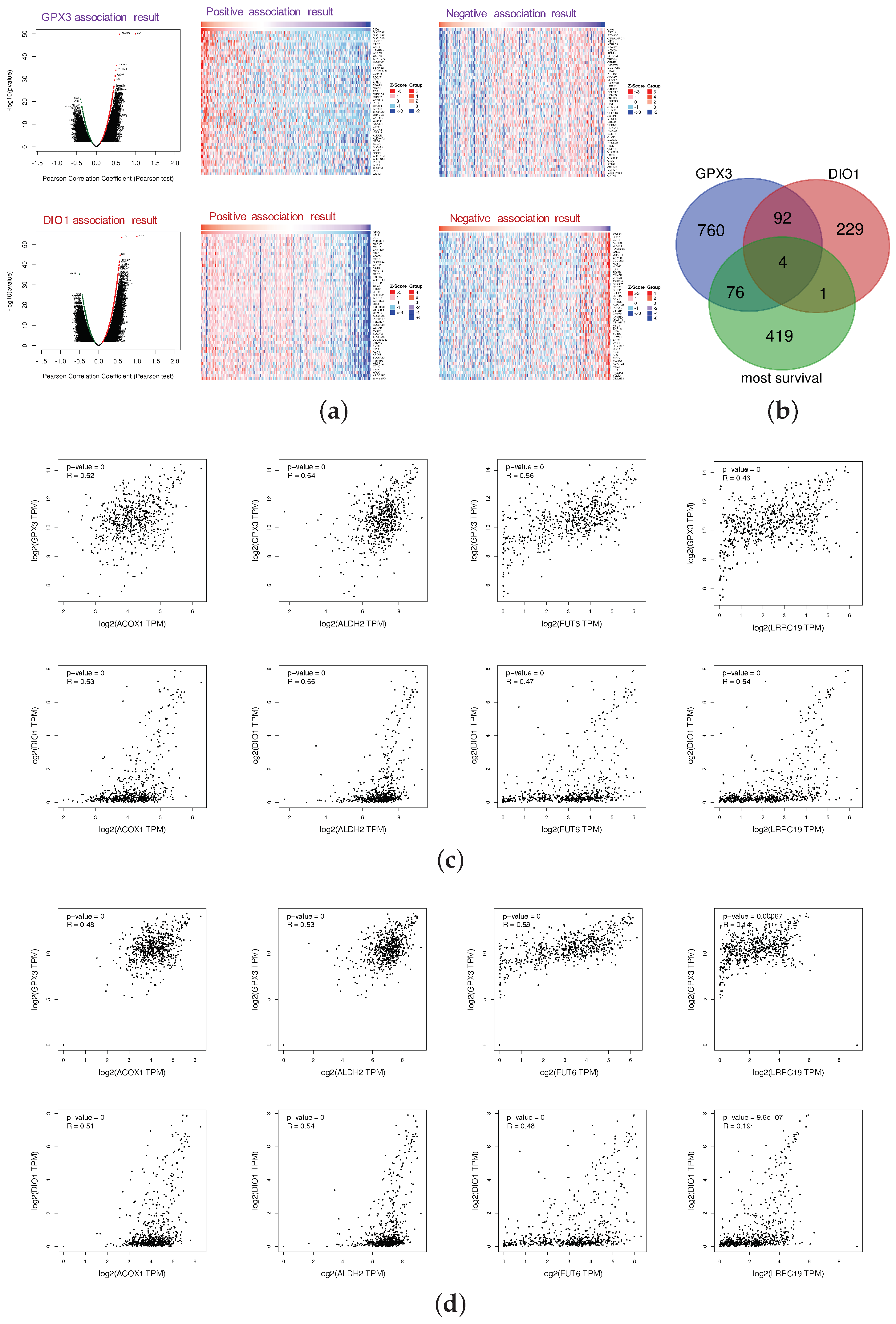 Genes 11 00440 g004 Genes 11 00440 g004