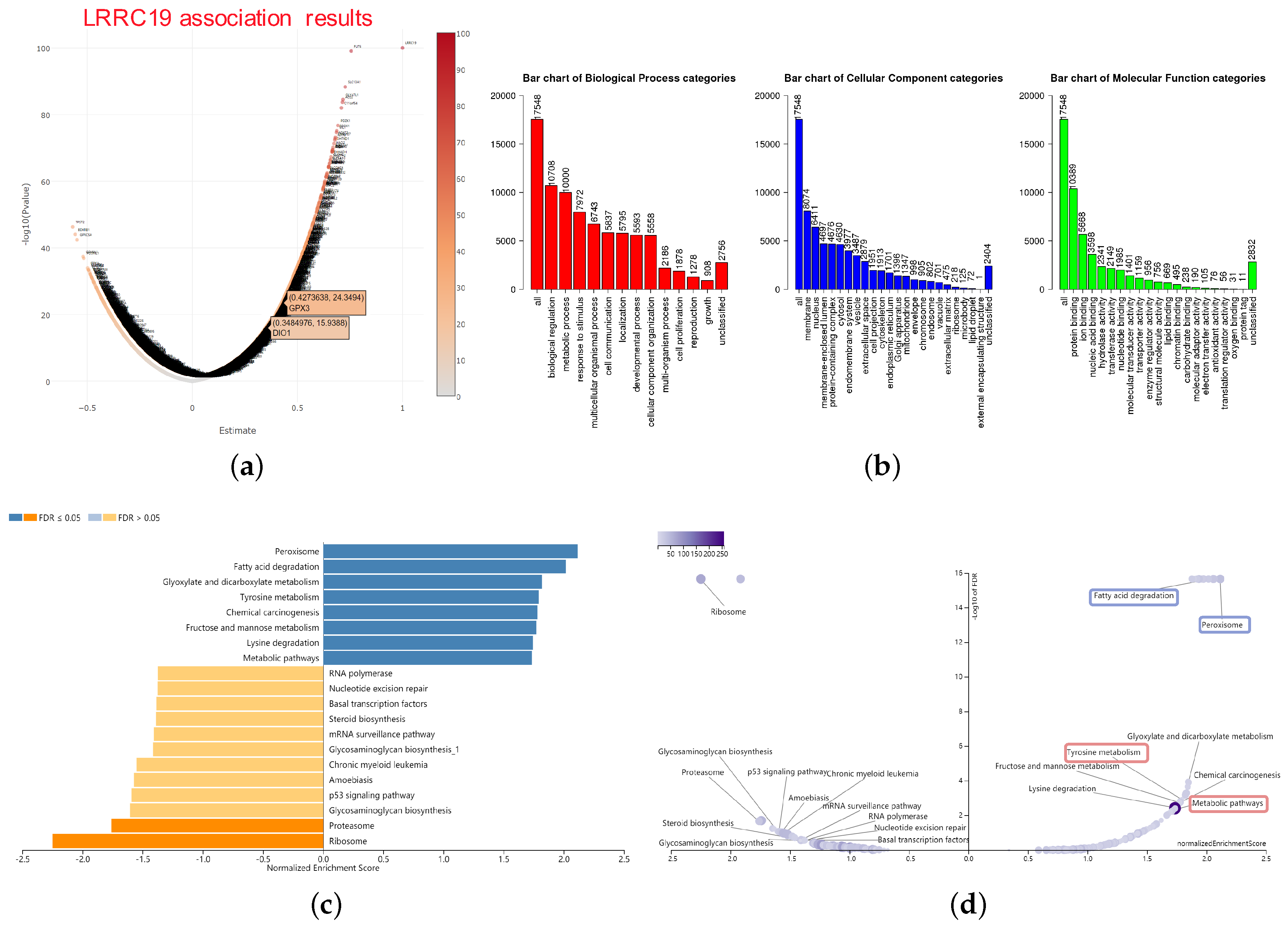 Genes 11 00440 g006 Genes 11 00440 g006