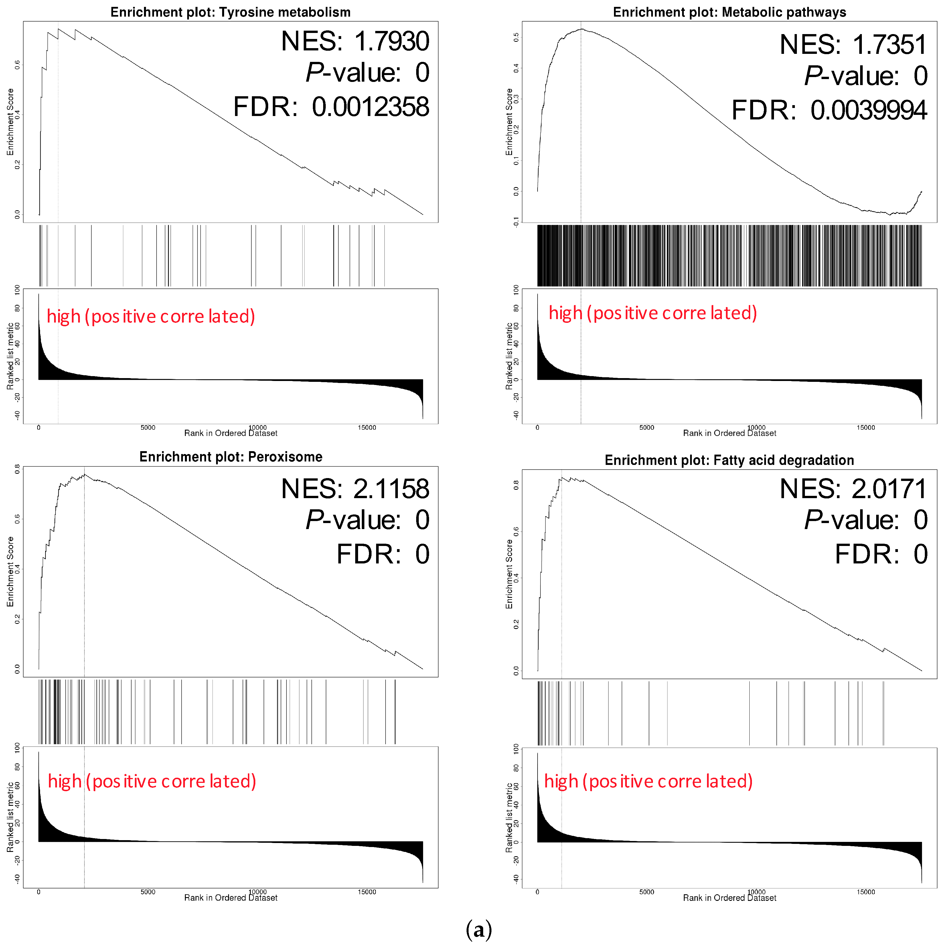 Genes 11 00440 g007a Genes 11 00440 g007a