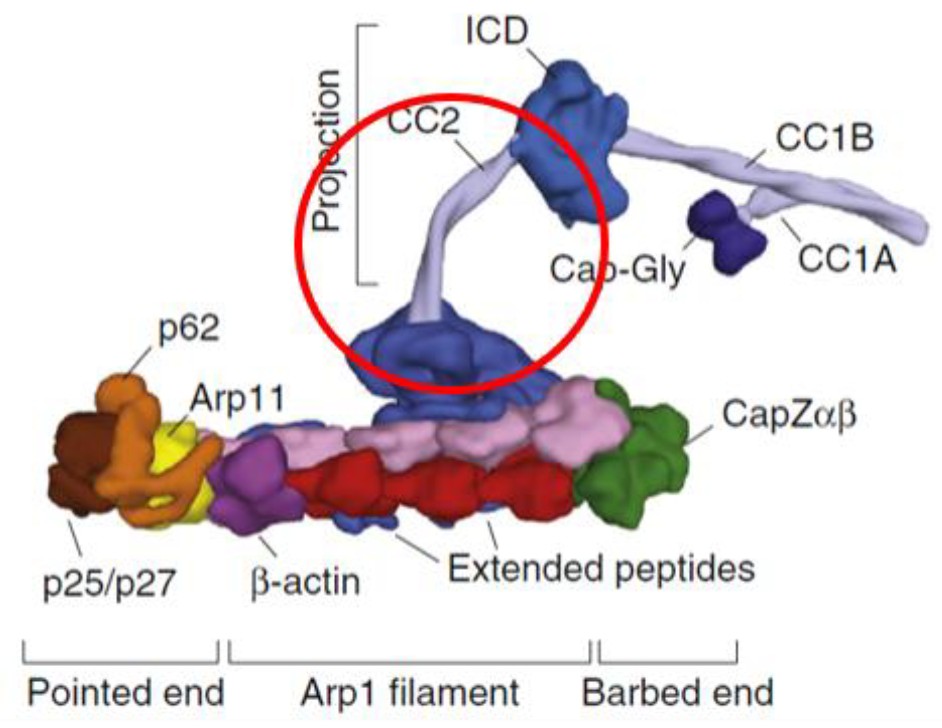 Genes 11 00446 g003 Genes 11 00446 g003