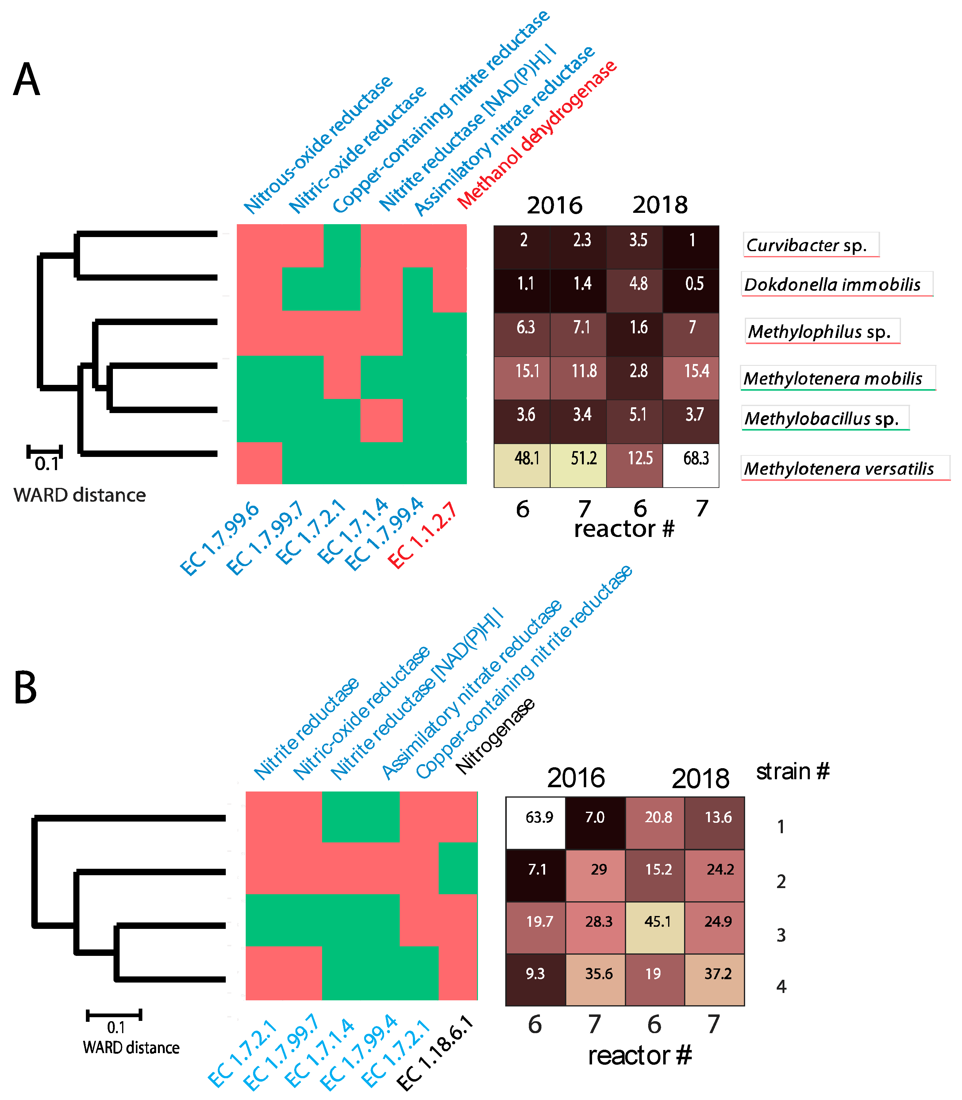 Genes 11 00449 g004 Genes 11 00449 g004