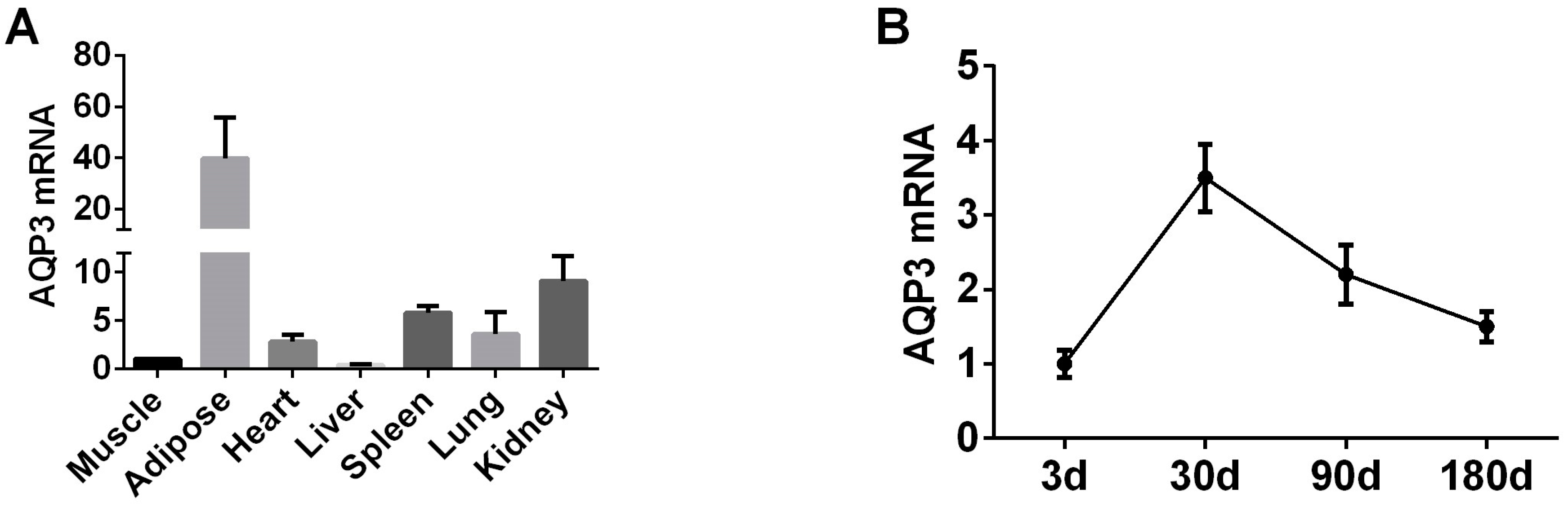 Genes 11 00453 g001