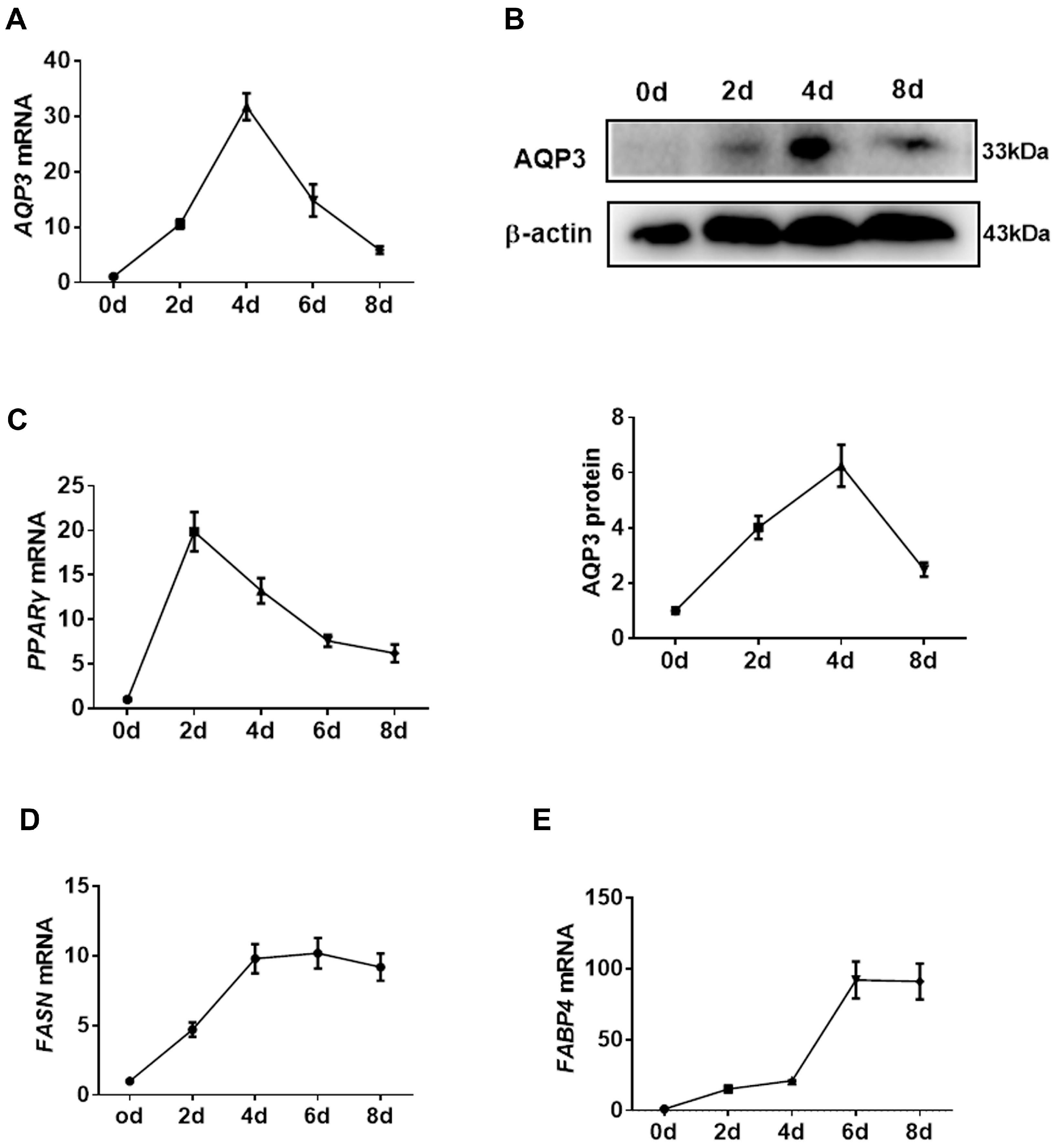 Genes 11 00453 g002