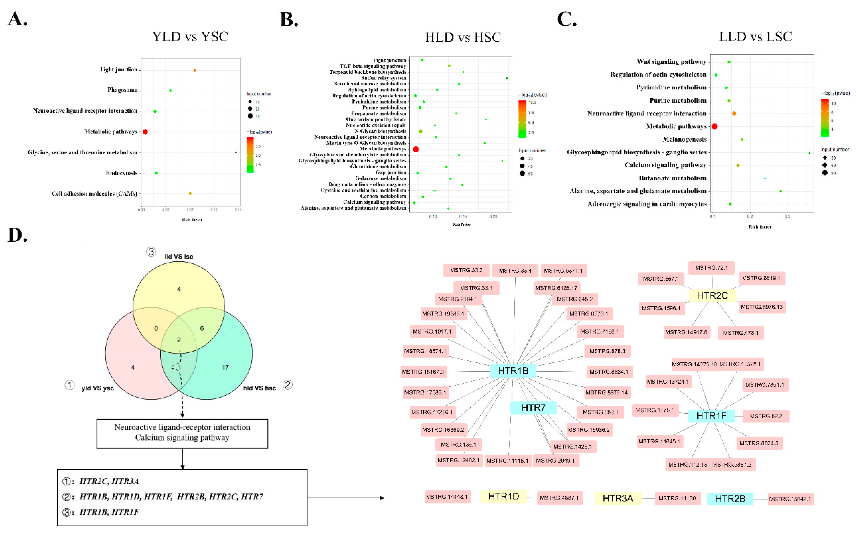 Genes 11 00455 g004