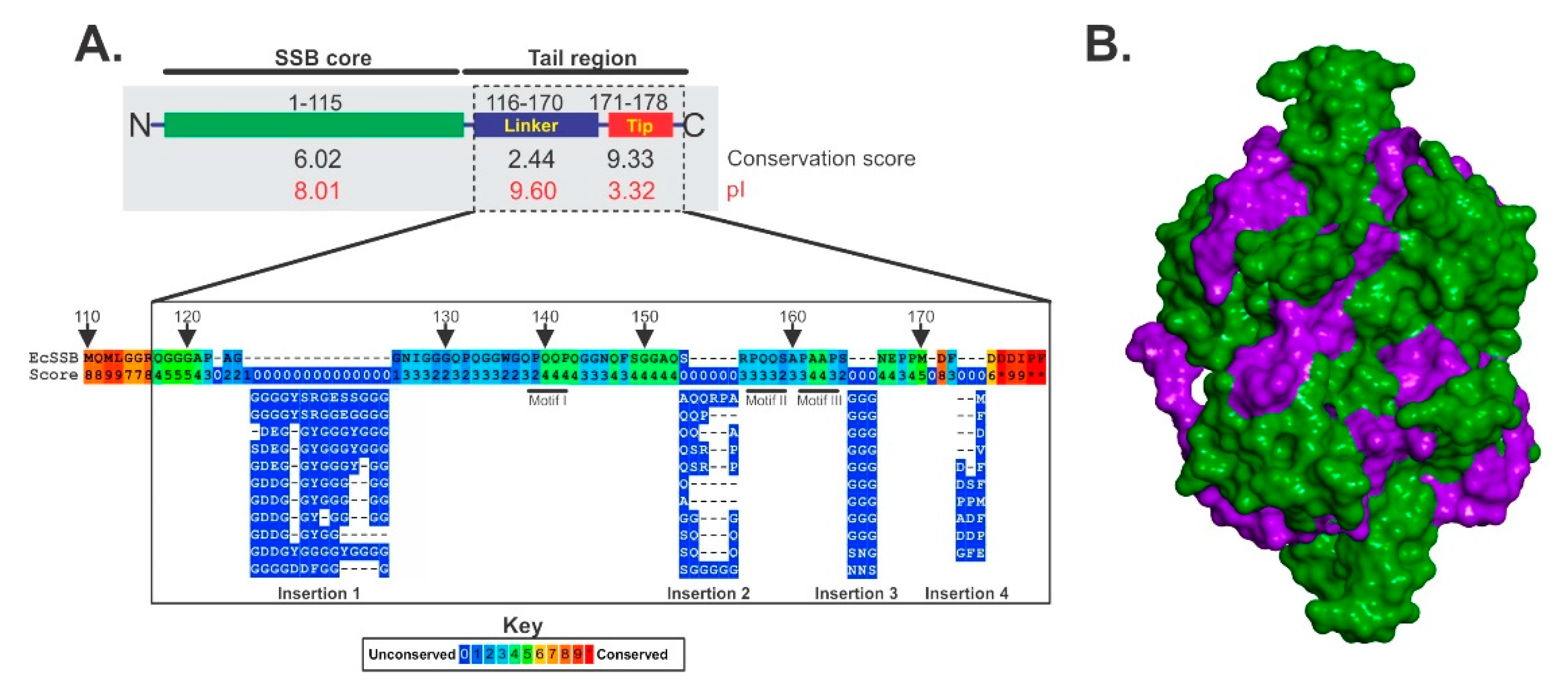 Genes 11 00471 g002