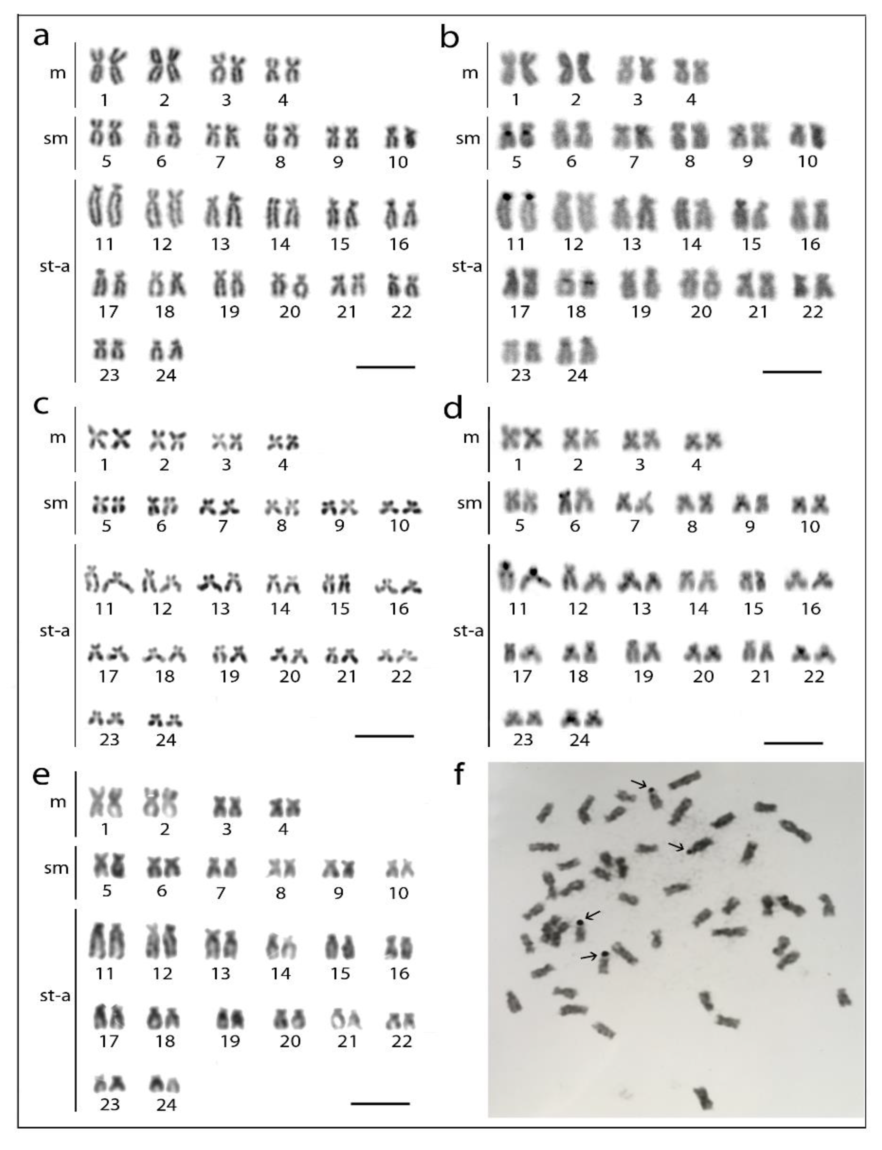Genes 11 00479 g001 Genes 11 00479 g001