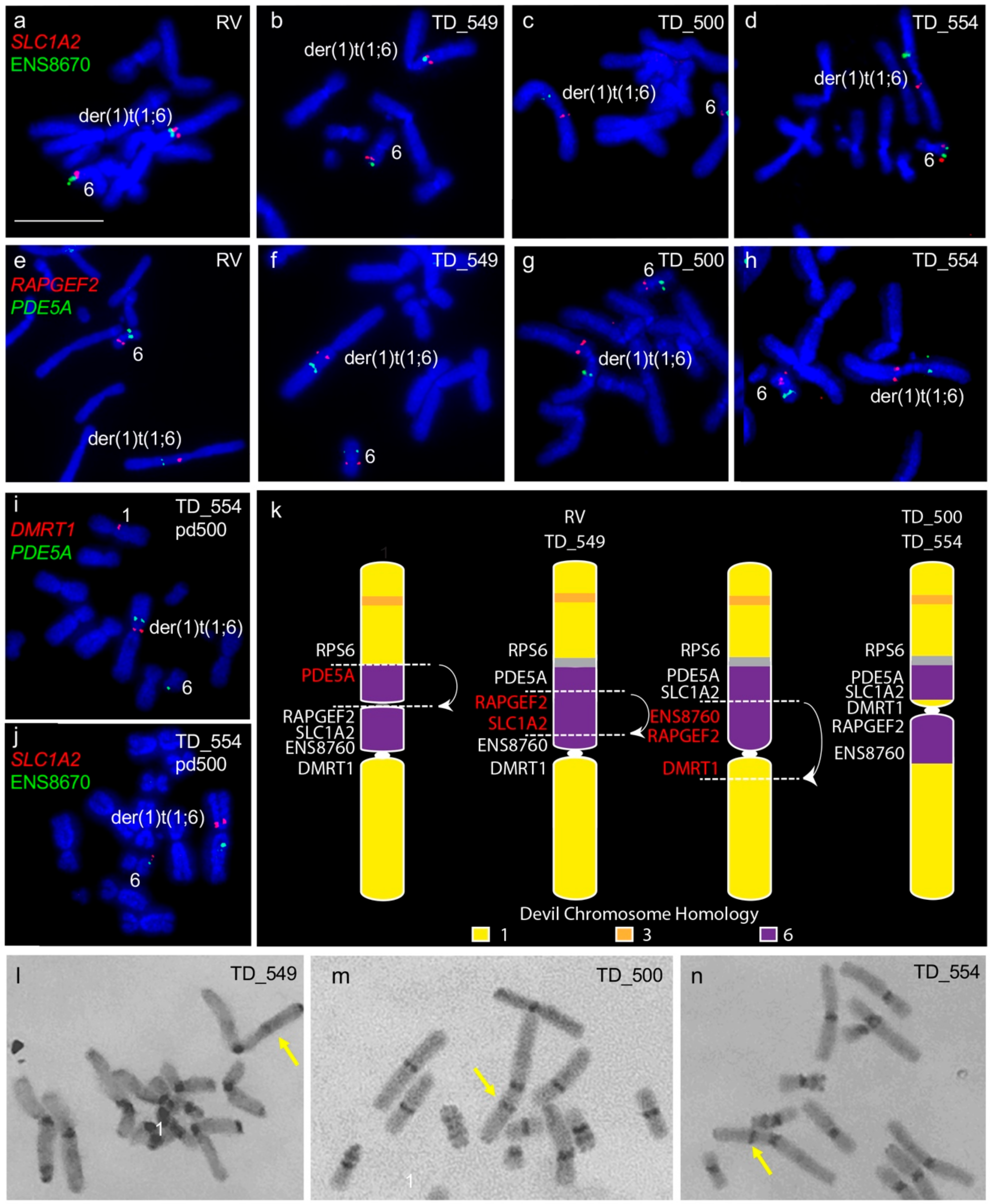 Genes 11 00480 g001 Genes 11 00480 g001
