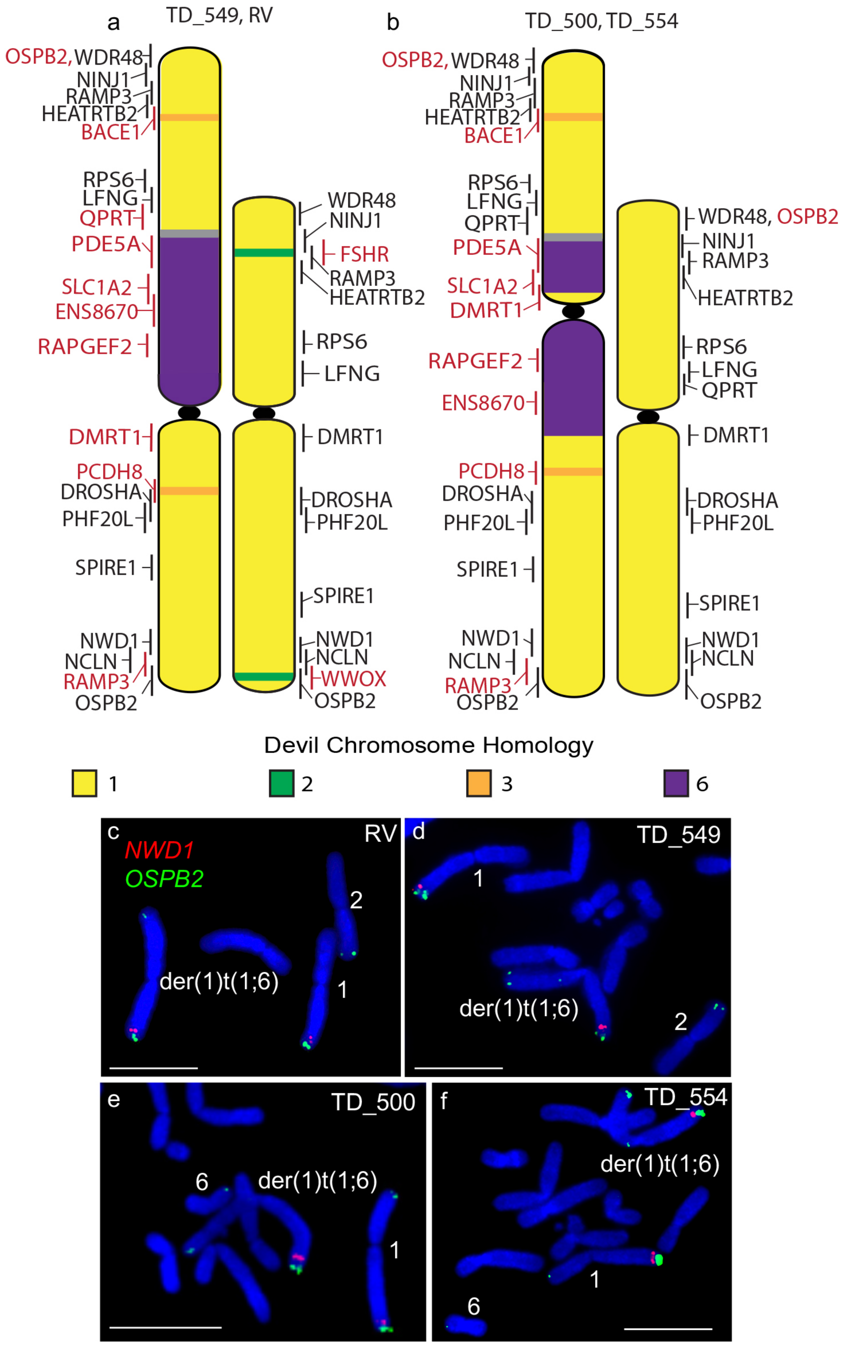 Genes 11 00480 g002 Genes 11 00480 g002