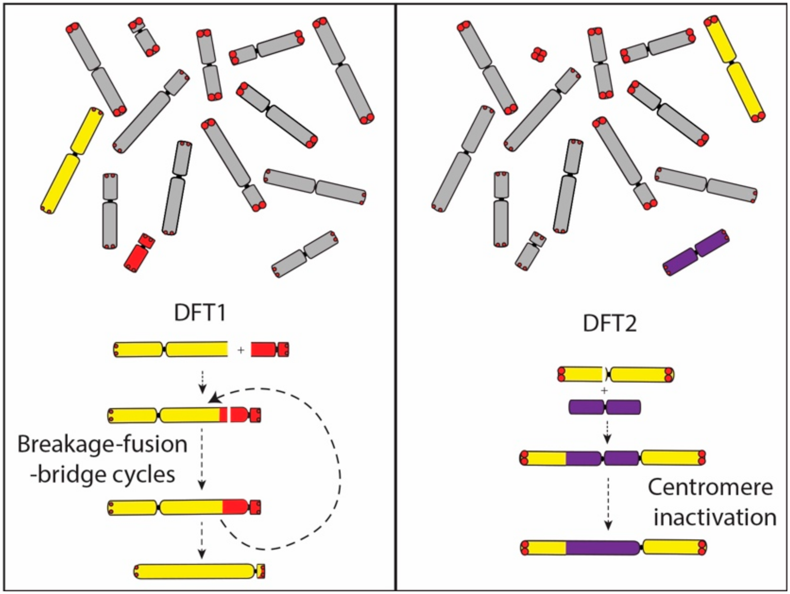 Genes 11 00480 g006 Genes 11 00480 g006