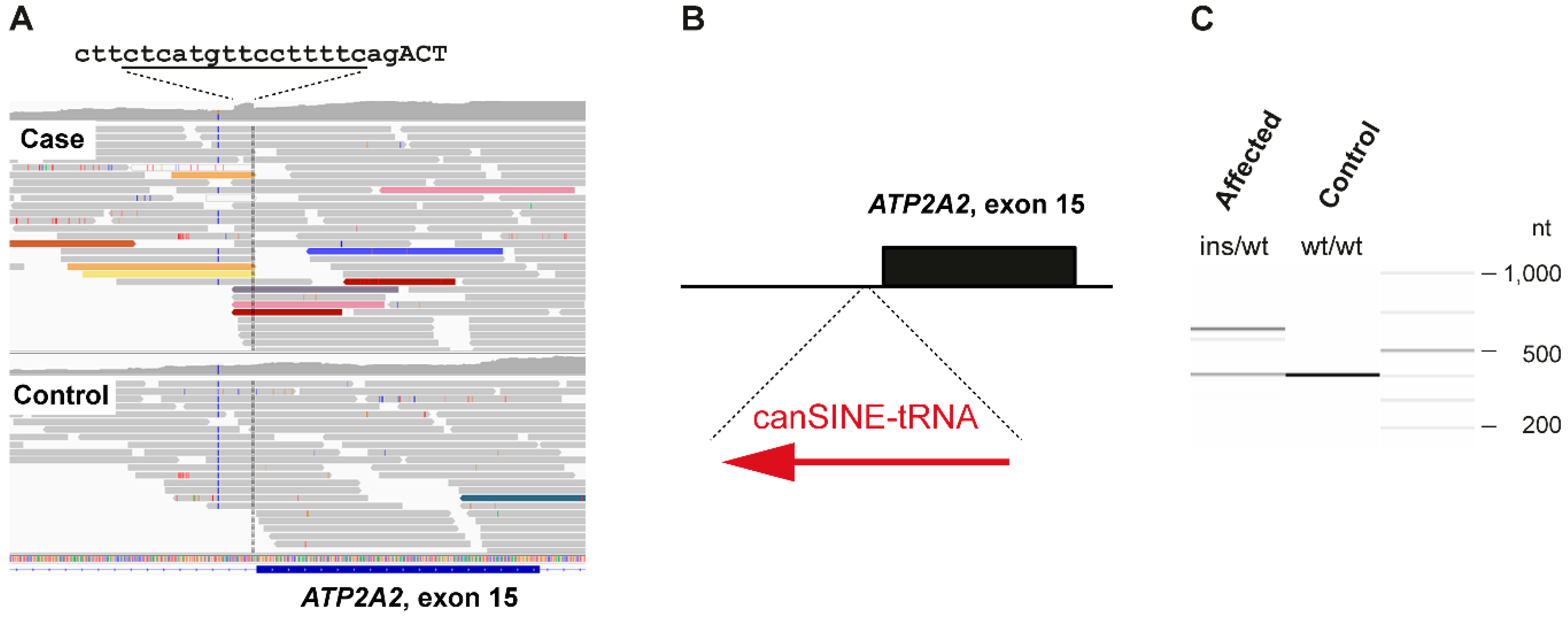 Genes 11 00481 g003 Genes 11 00481 g003