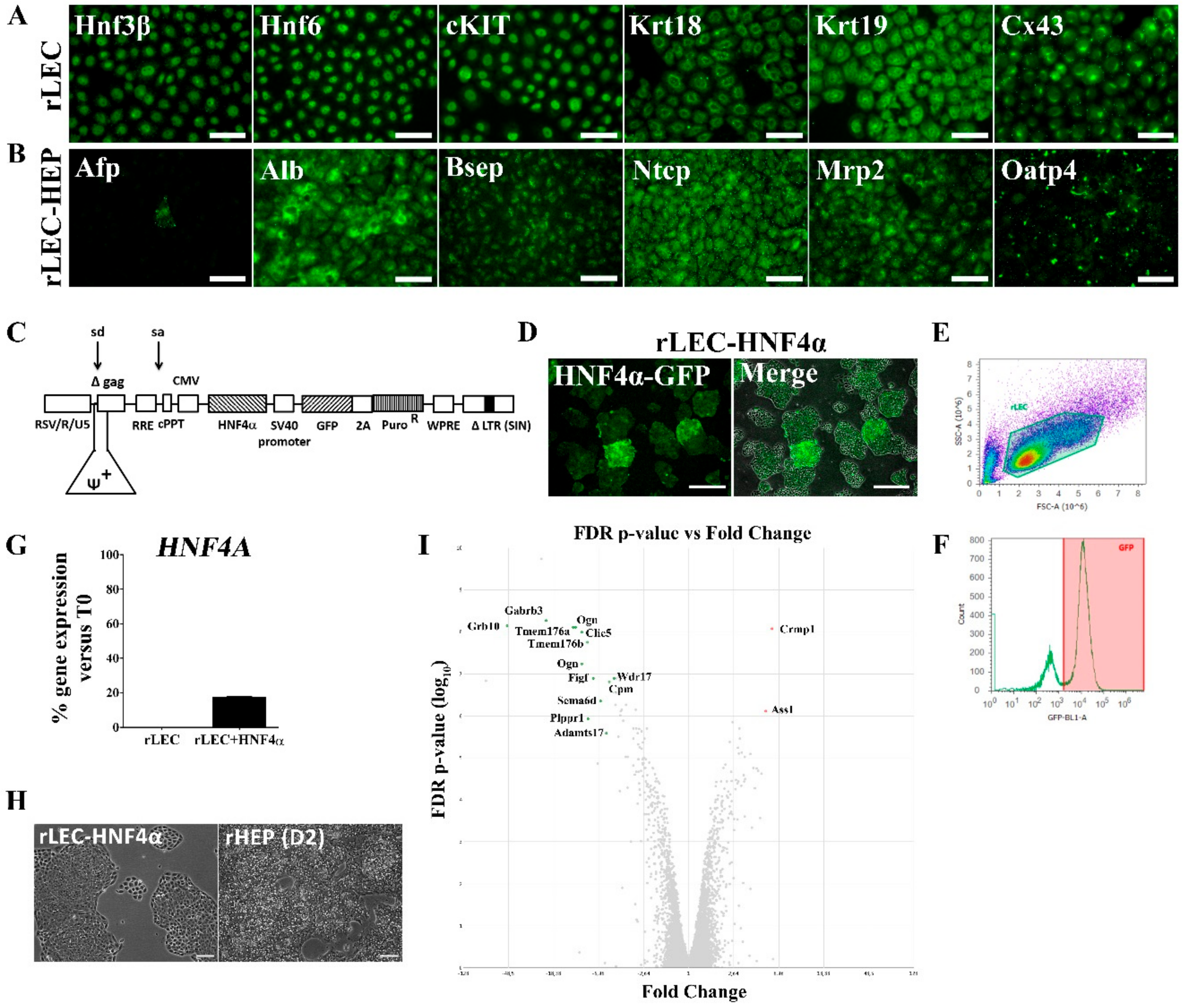 Genes 11 00486 g001 Genes 11 00486 g001