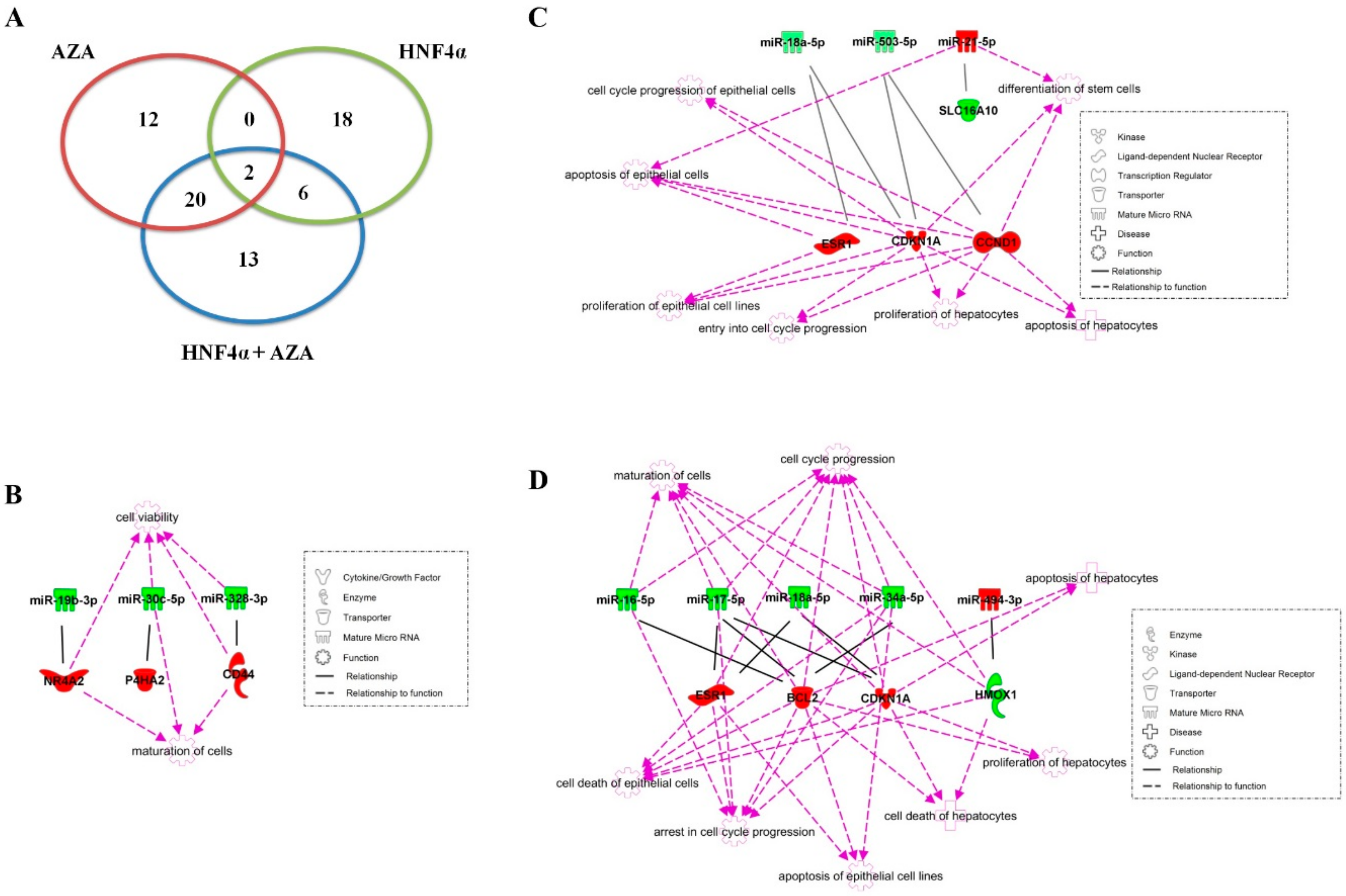 Genes 11 00486 g003 Genes 11 00486 g003