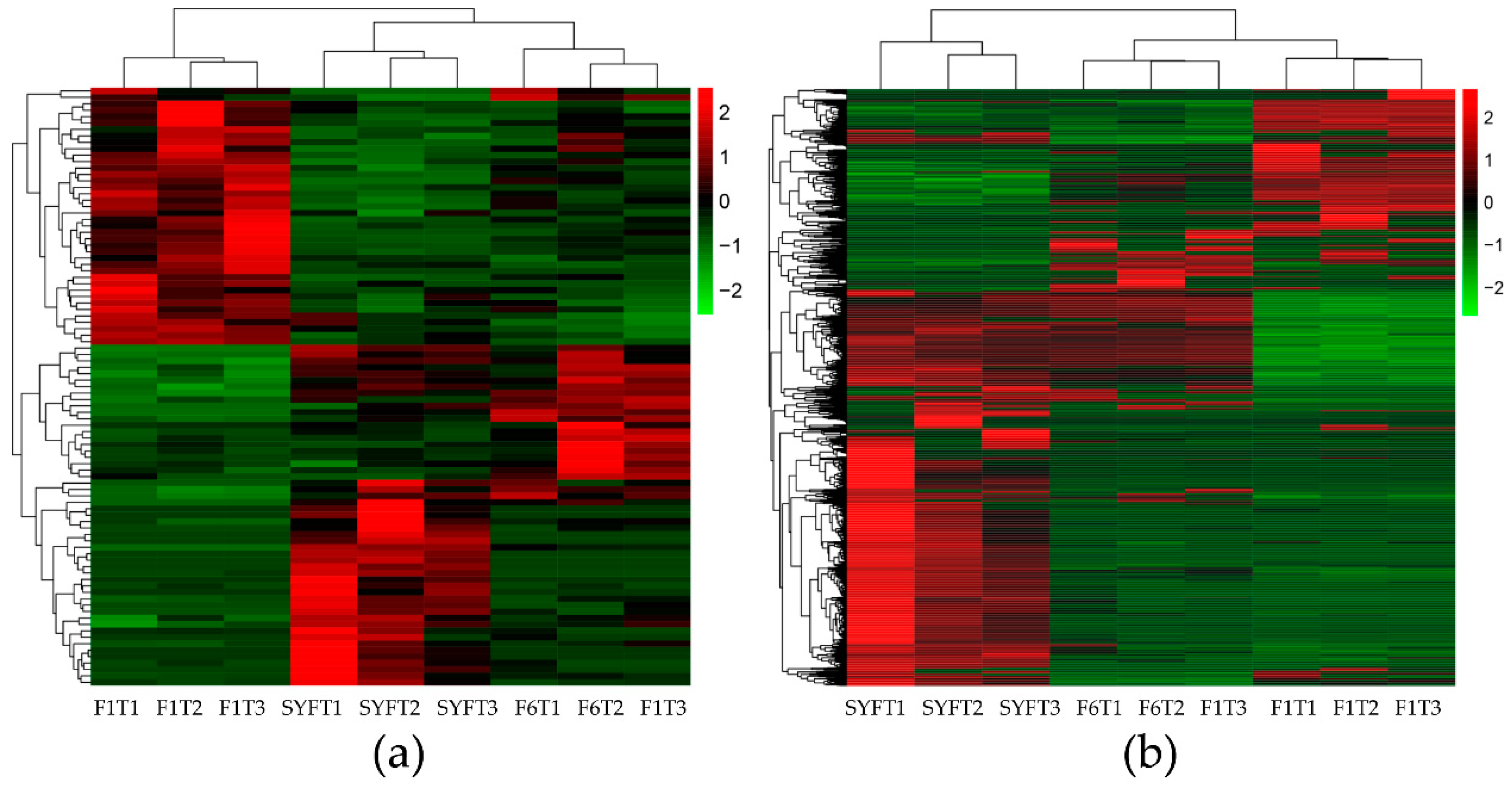 Genes 11 00489 g002 Genes 11 00489 g002