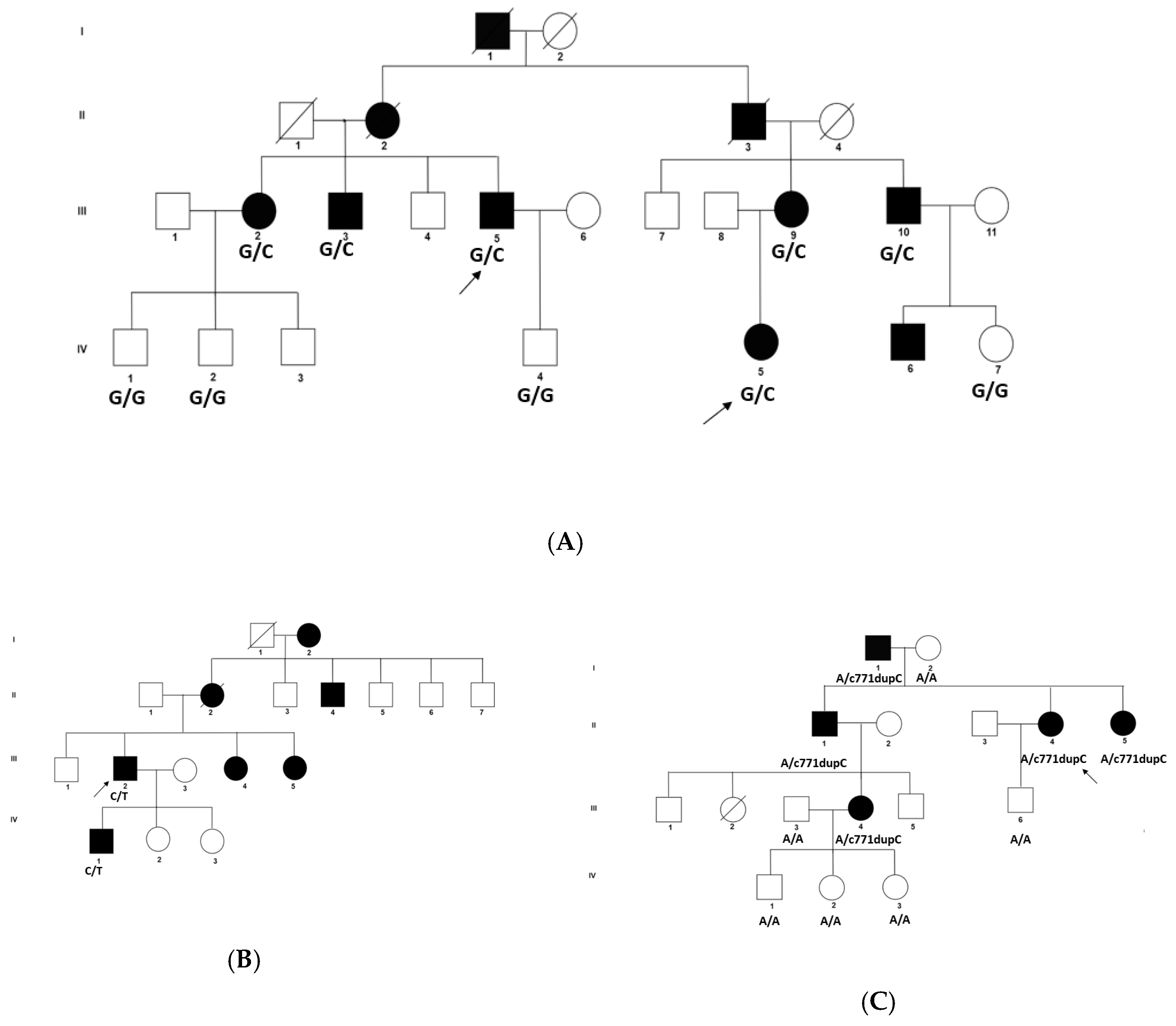 Genes 11 00512 g001