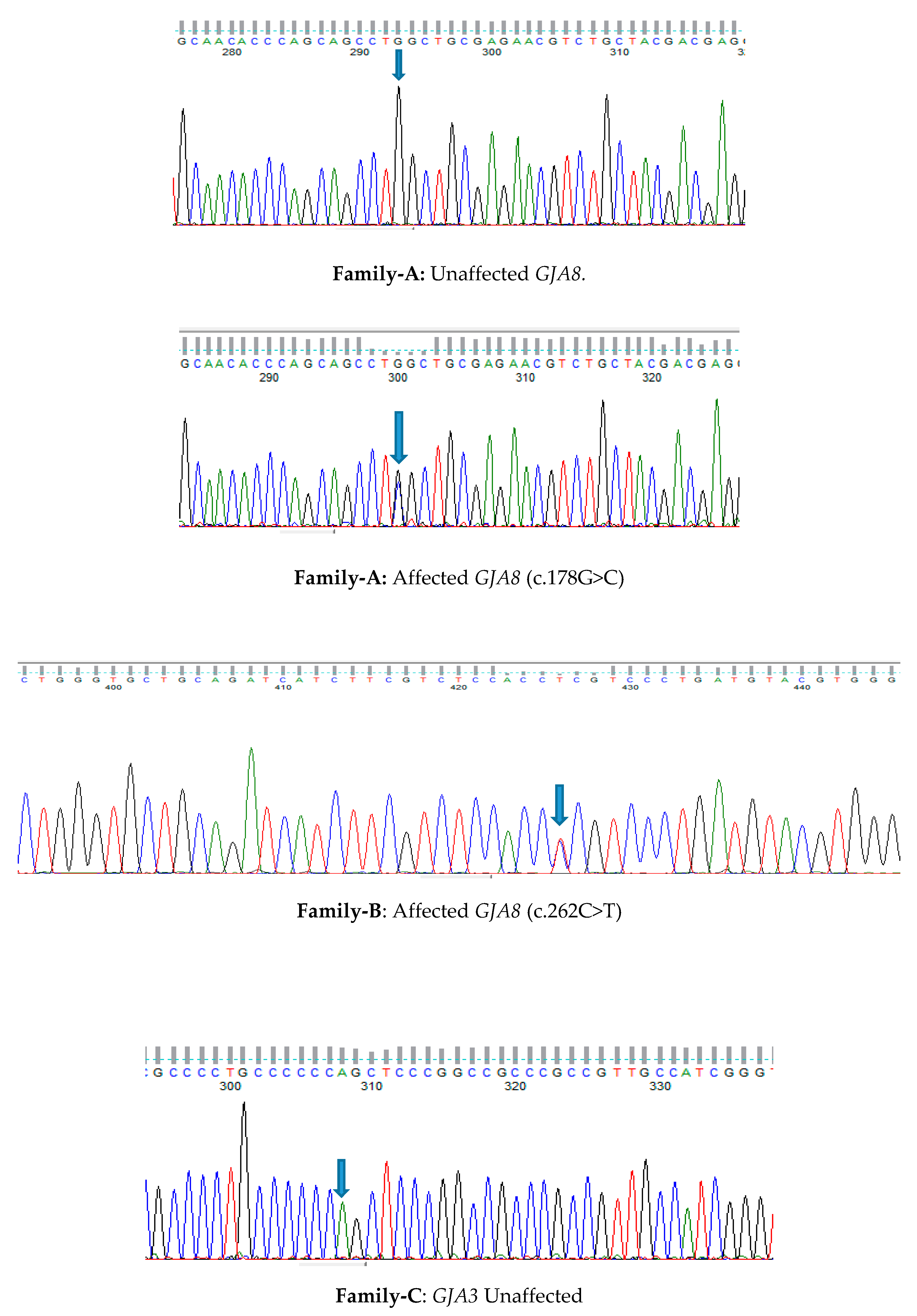 Genes 11 00512 g002a