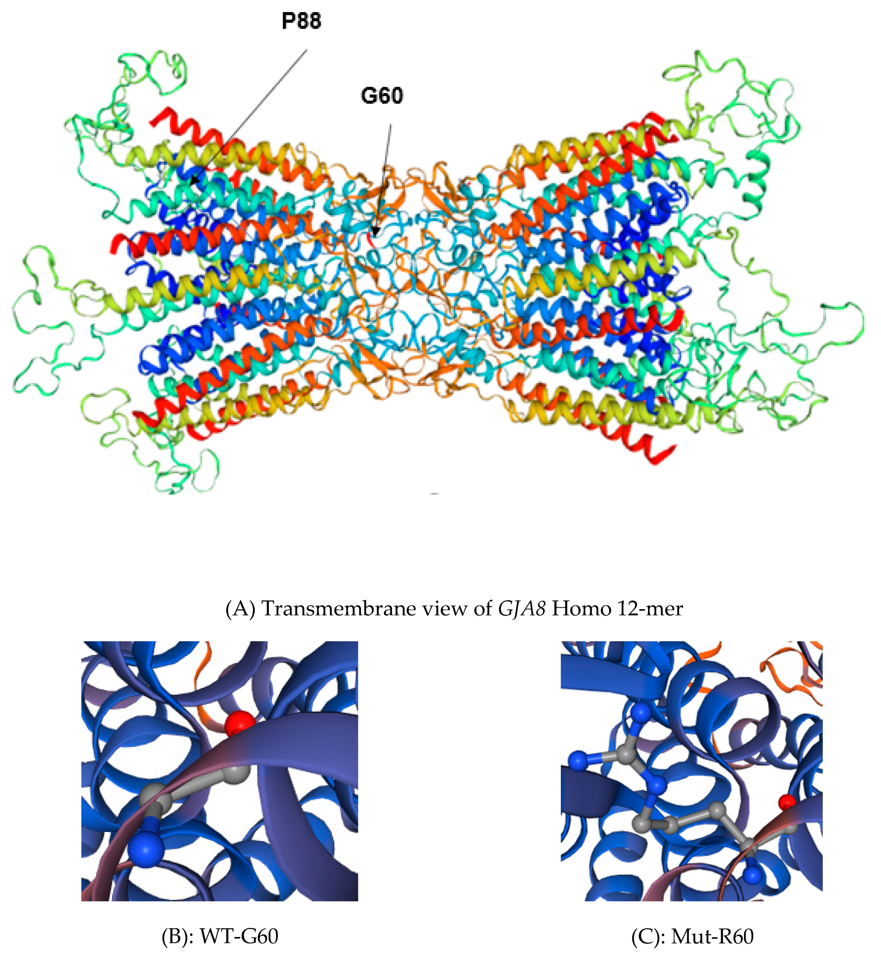 Genes 11 00512 g003
