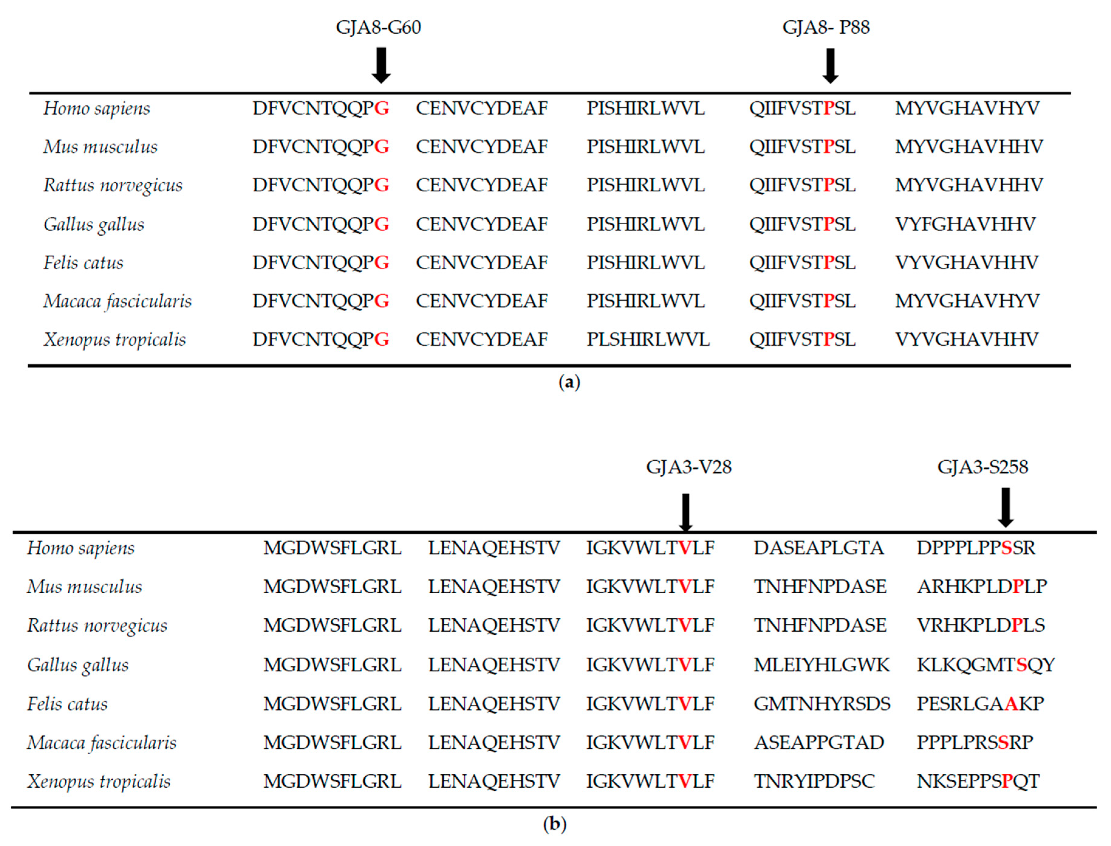 Genes 11 00512 g004