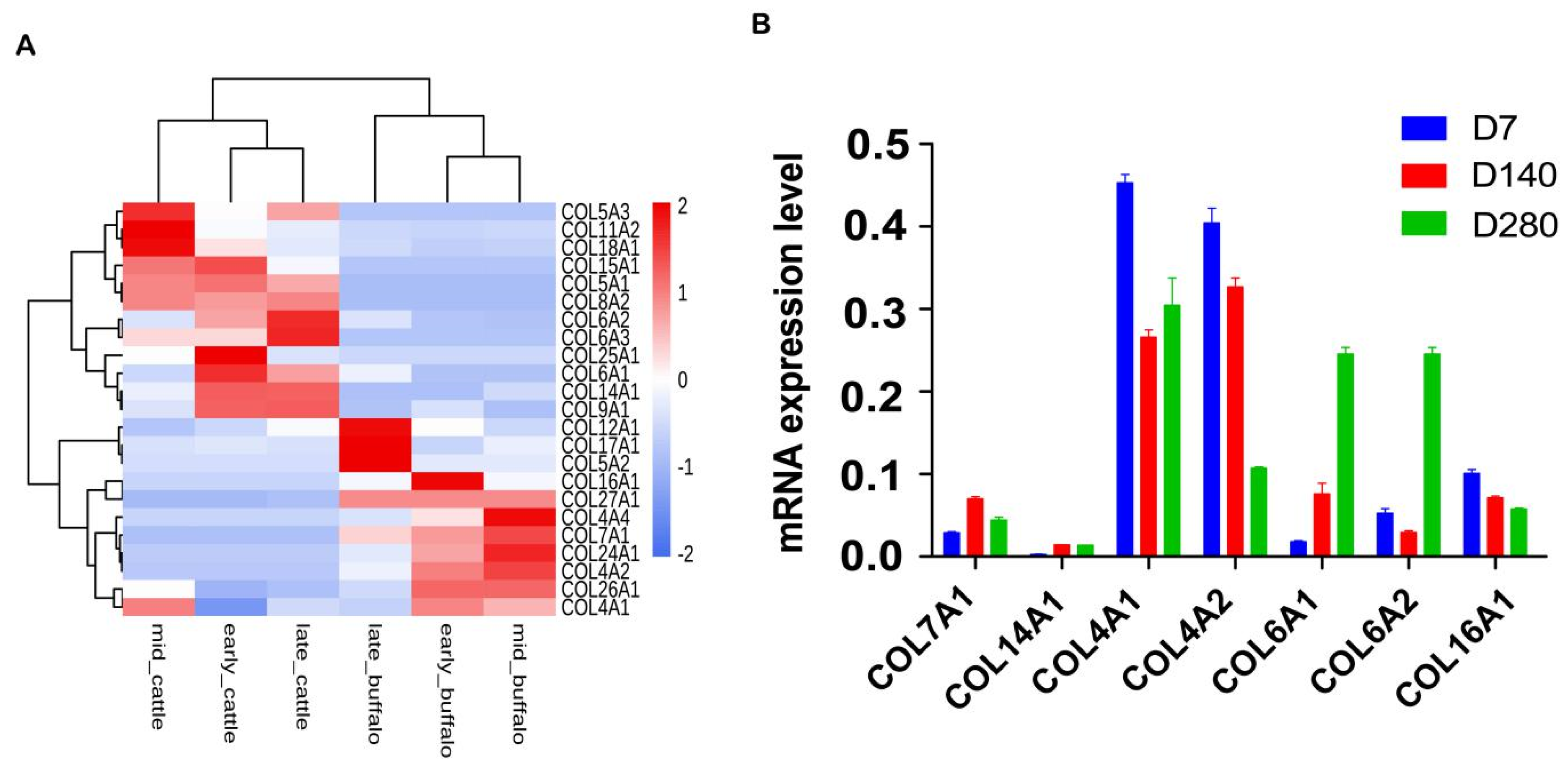 Genes 11 00515 g005