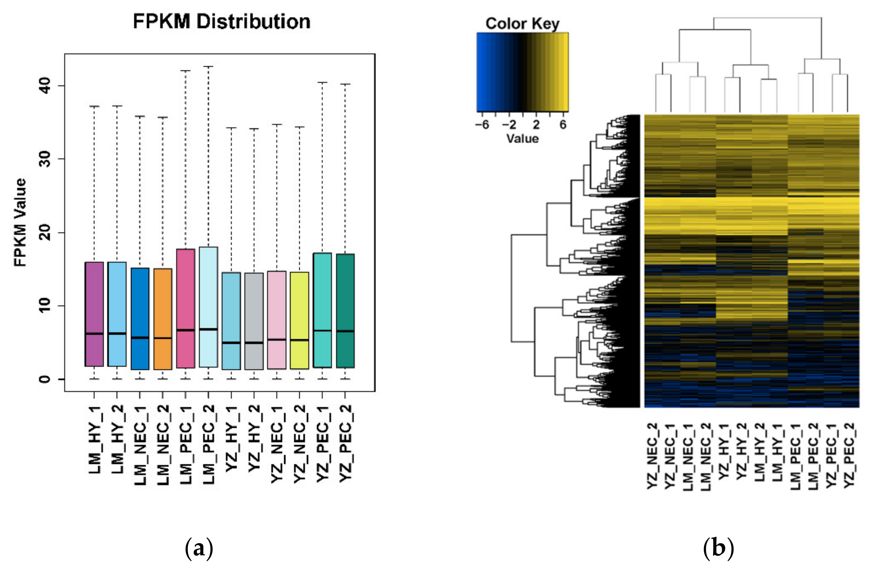 Genes 11 00519 g001