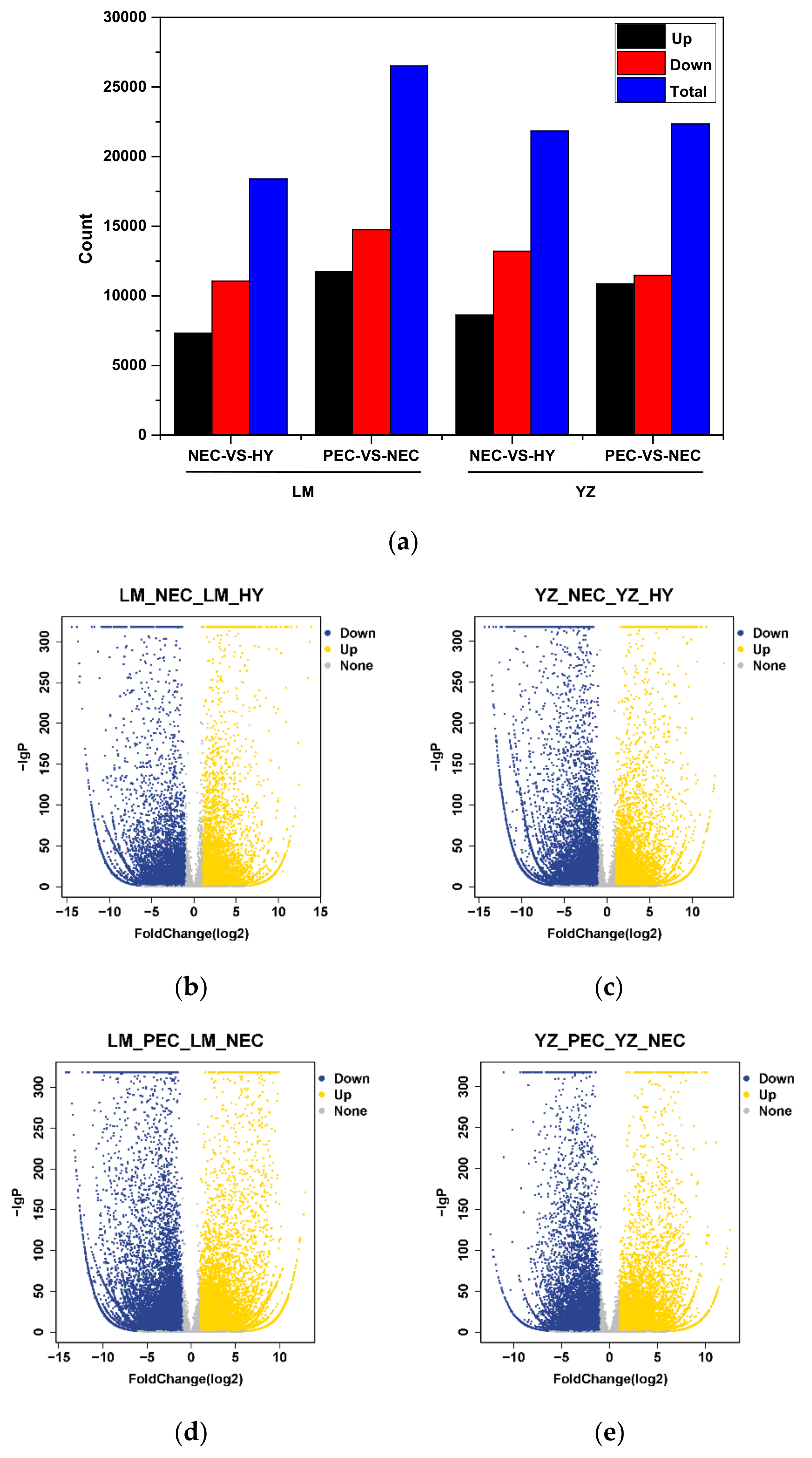 Genes 11 00519 g002a