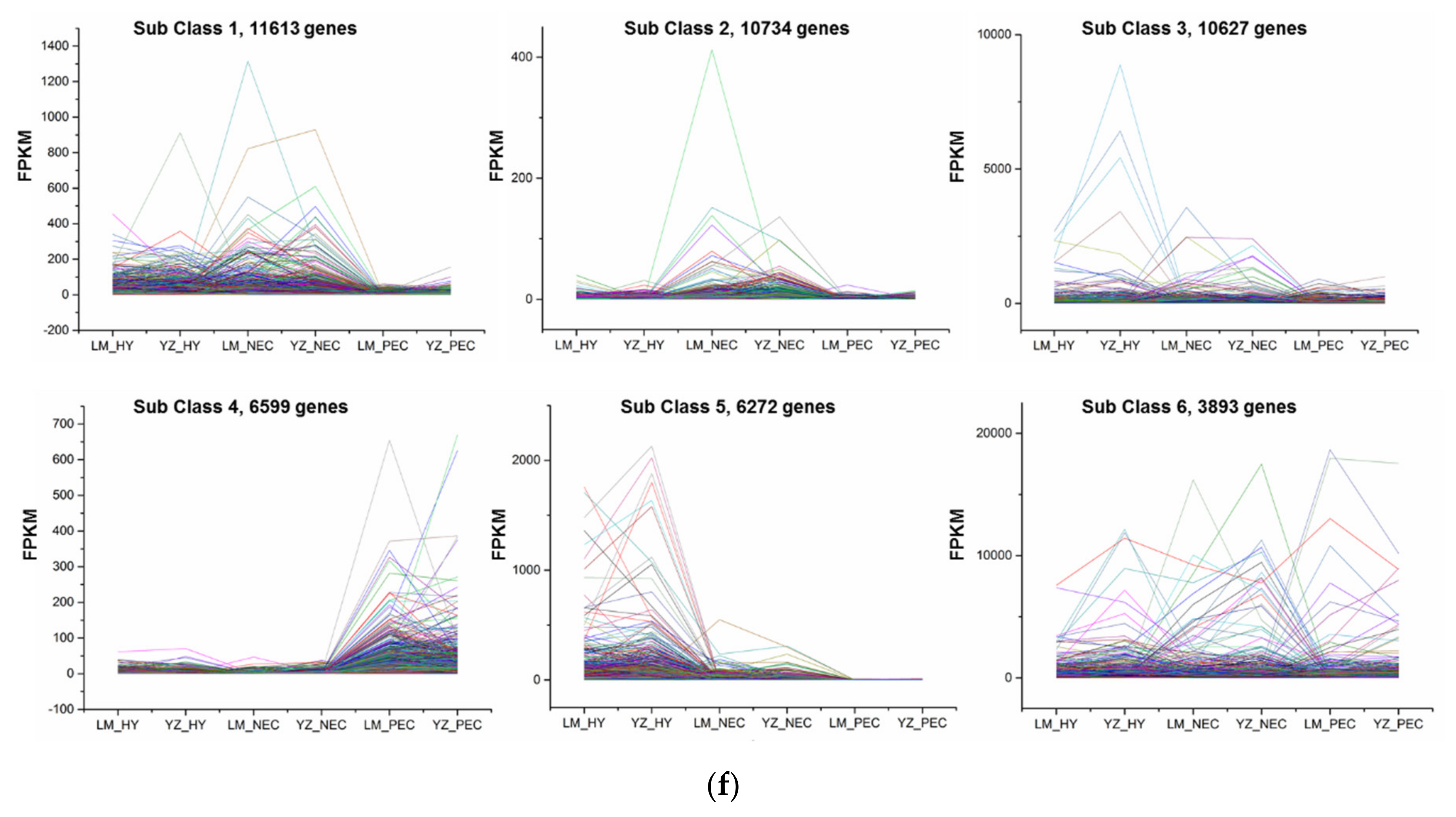 Genes 11 00519 g002b