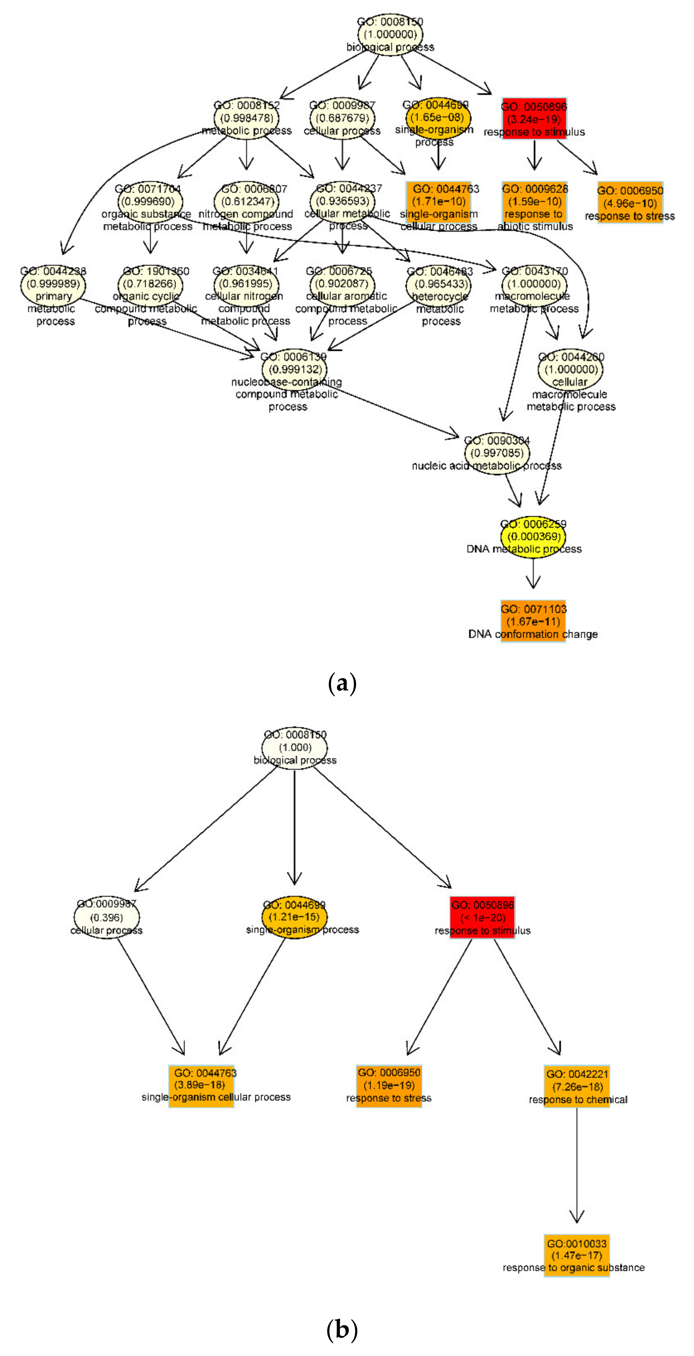 Genes 11 00519 g003