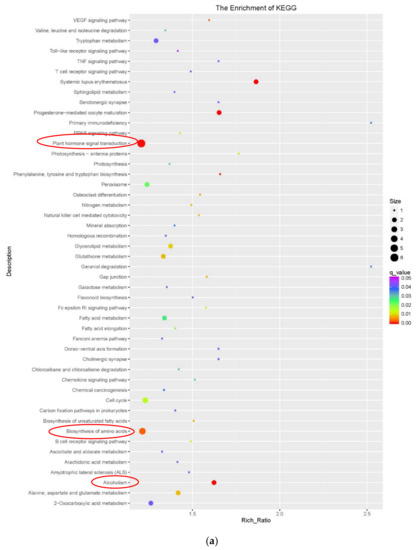 Genes 11 00519 g0a1a Genes 11 00519 g0a1a
