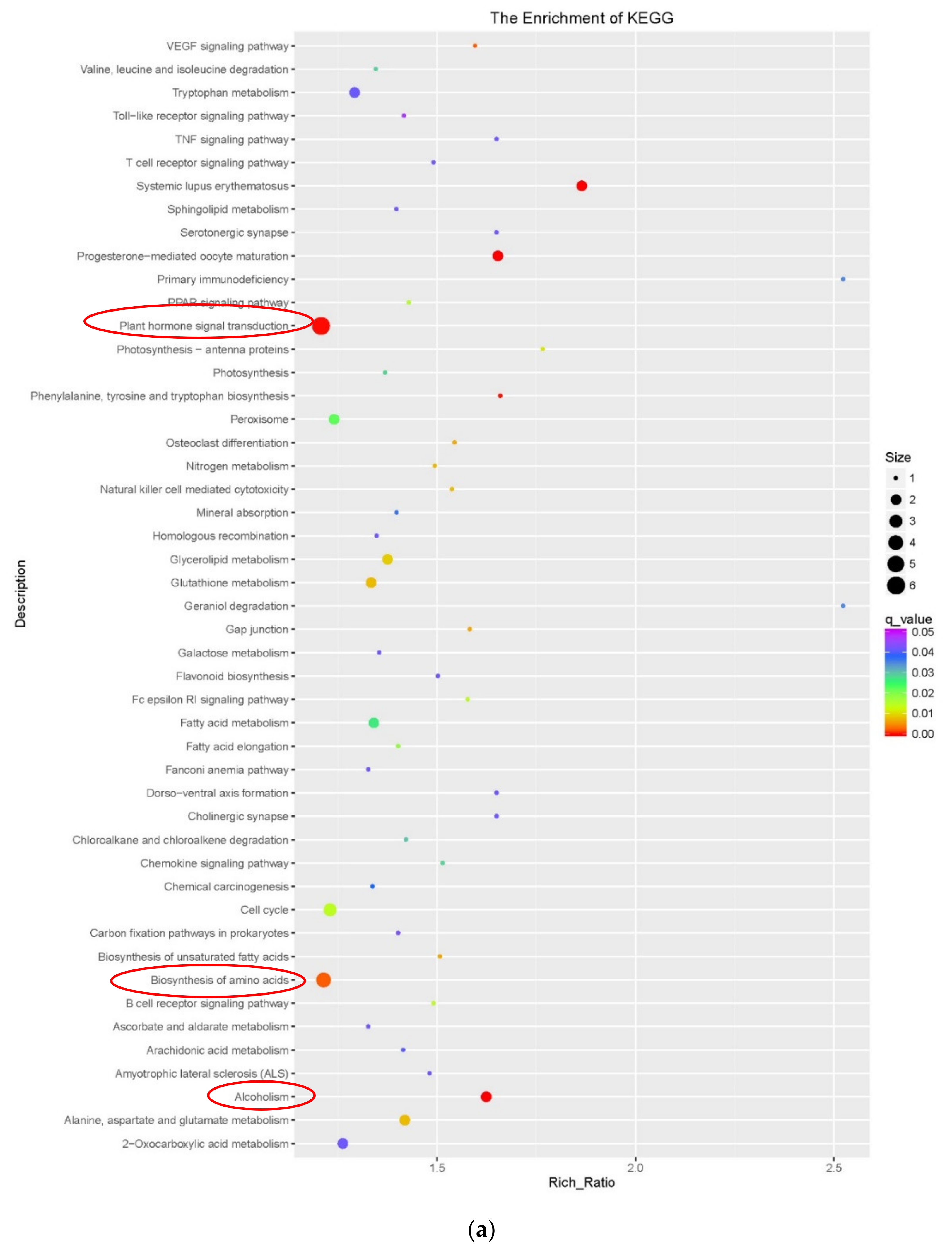 Genes 11 00519 g0a1a