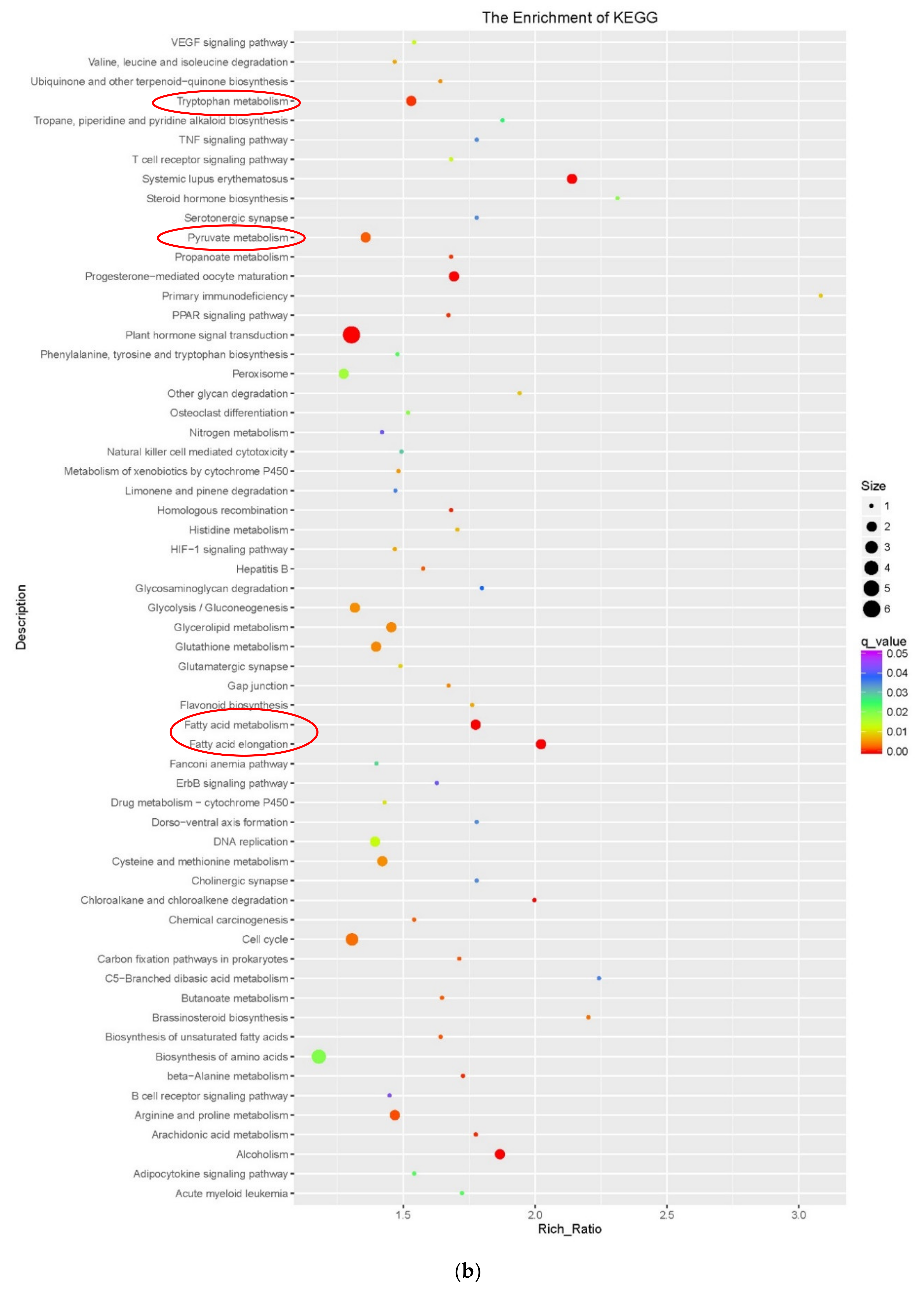Genes 11 00519 g0a1b